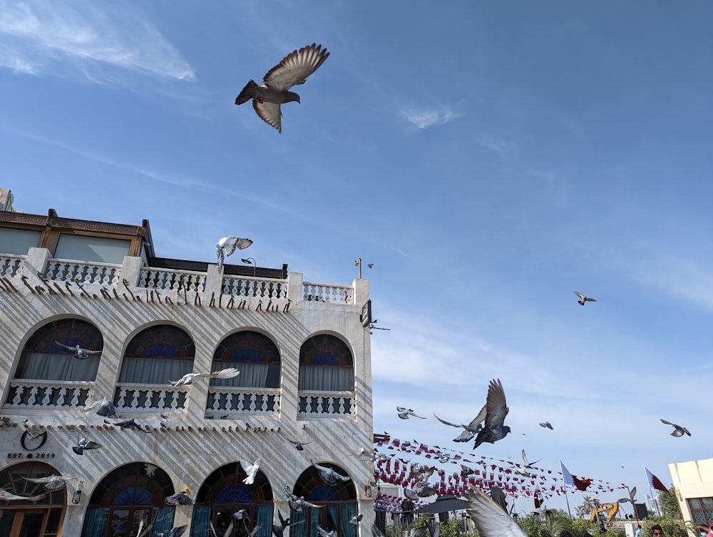 a flock of birds flying over a building