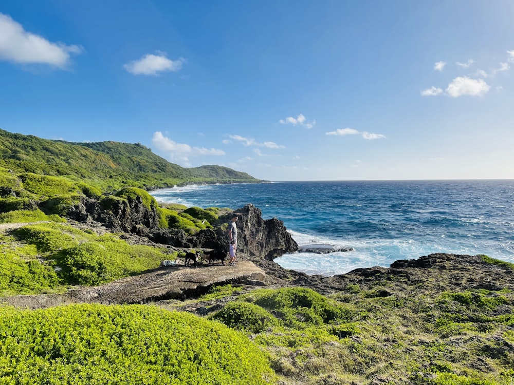 a couple of people standing on top of a lush green hillside next to the ocean