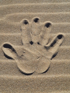 a paw print in the sand on a beach