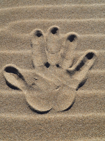 a paw print in the sand on a beach