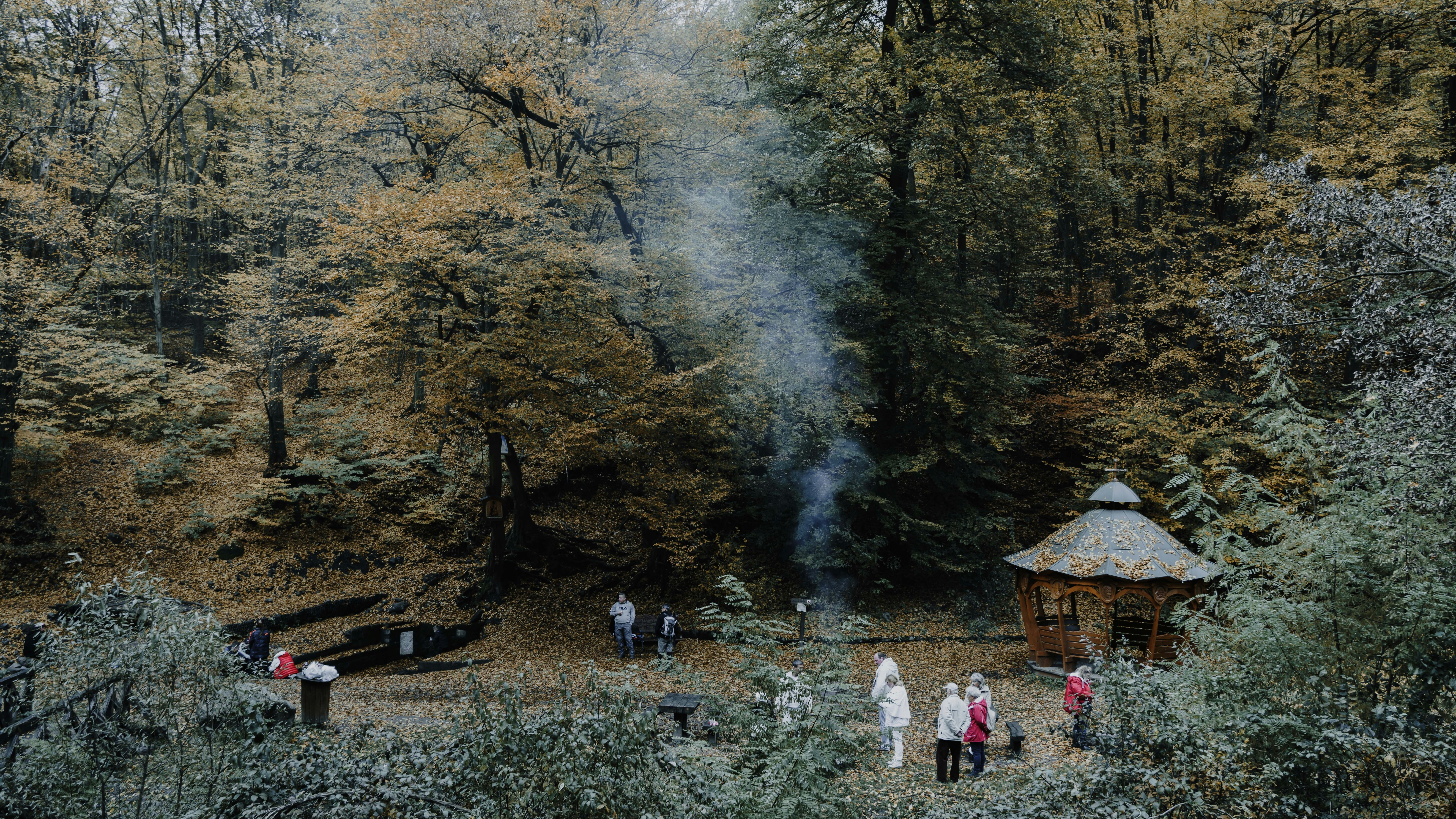 Japanese barbecue with forest and nature