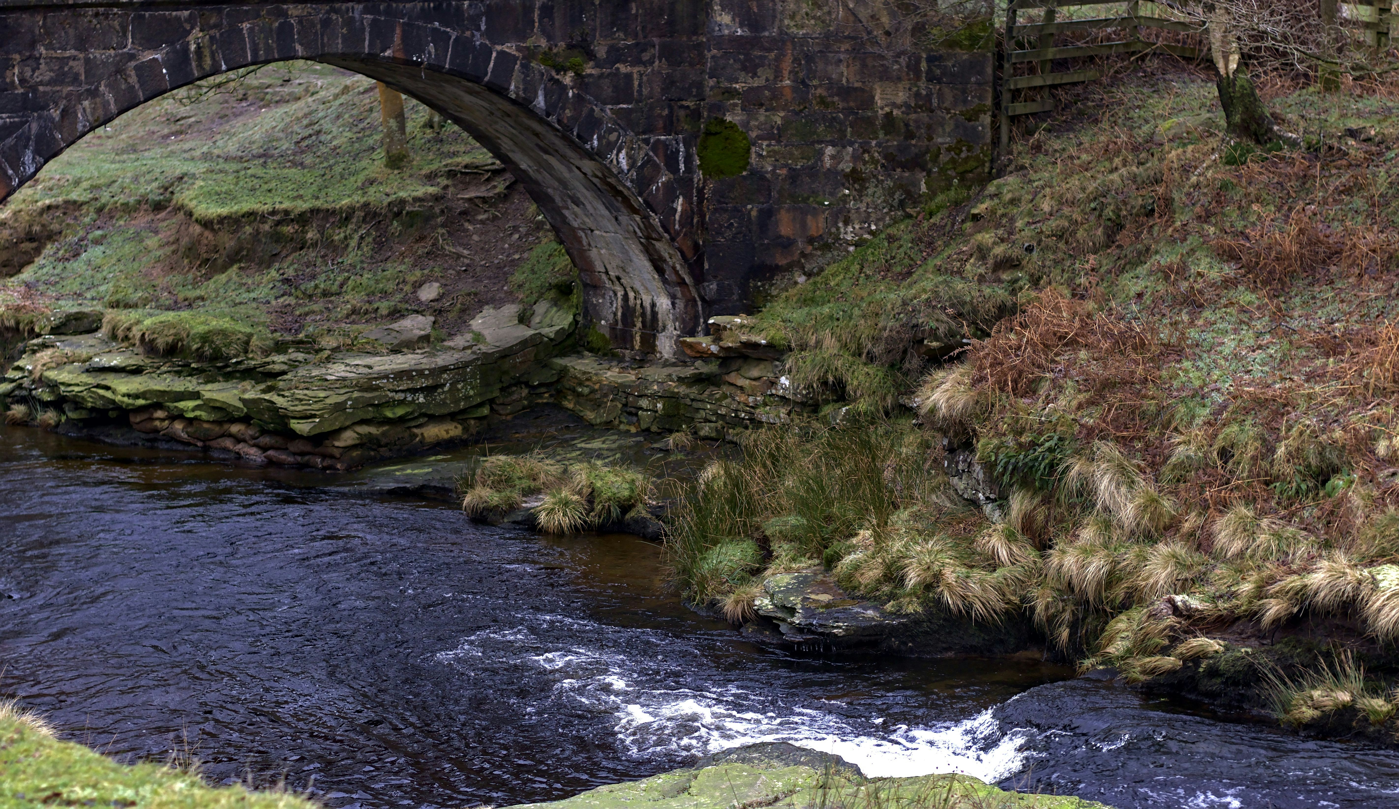 Photo by _asimrehman