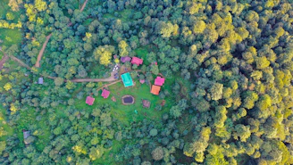 Map highlighting the lot locations within the vibrant greenery of Madre de Dios.