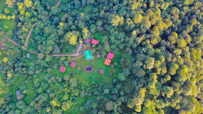 Map highlighting the lot locations within the vibrant greenery of Madre de Dios.