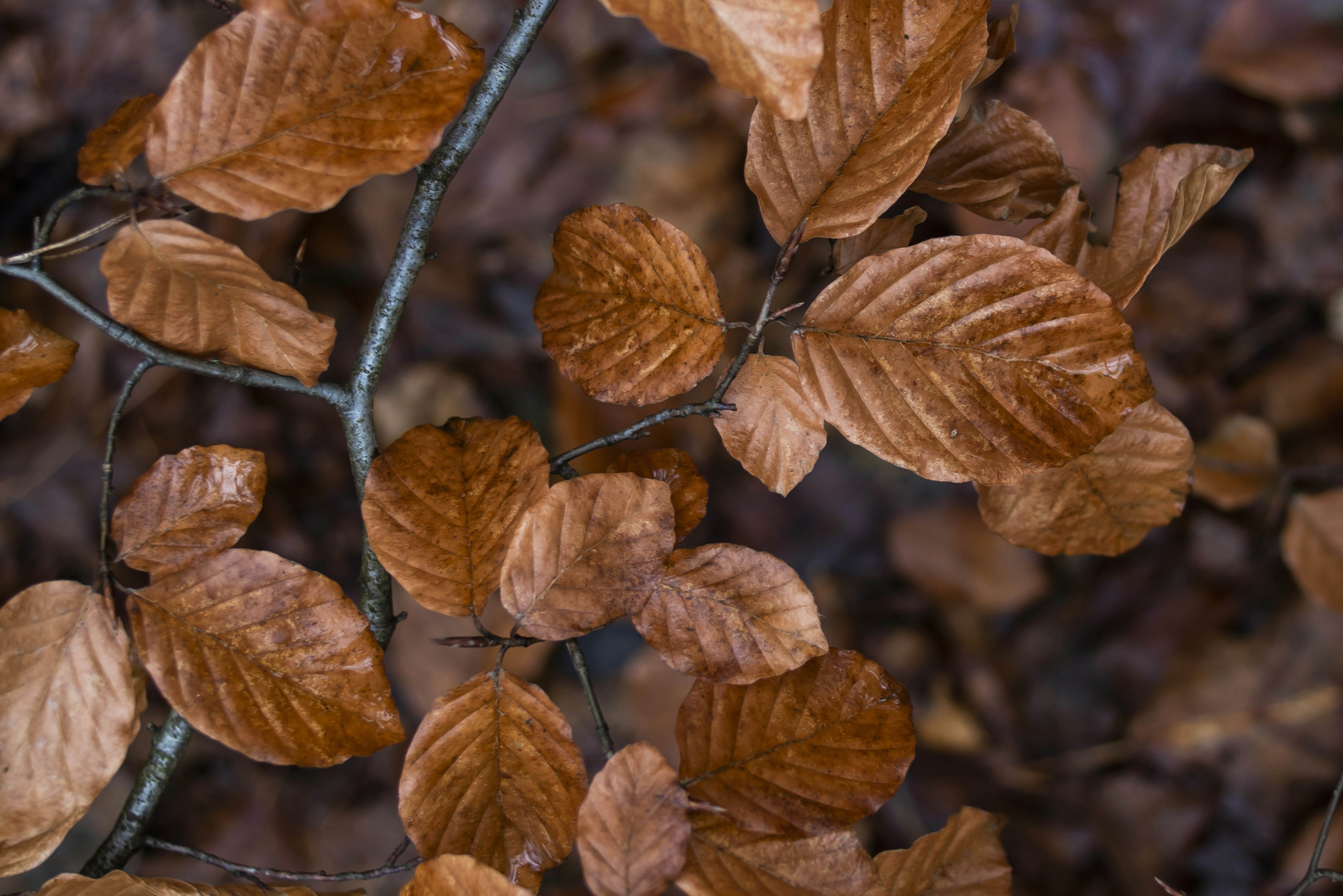 Photo by switch_dtp_fotografie