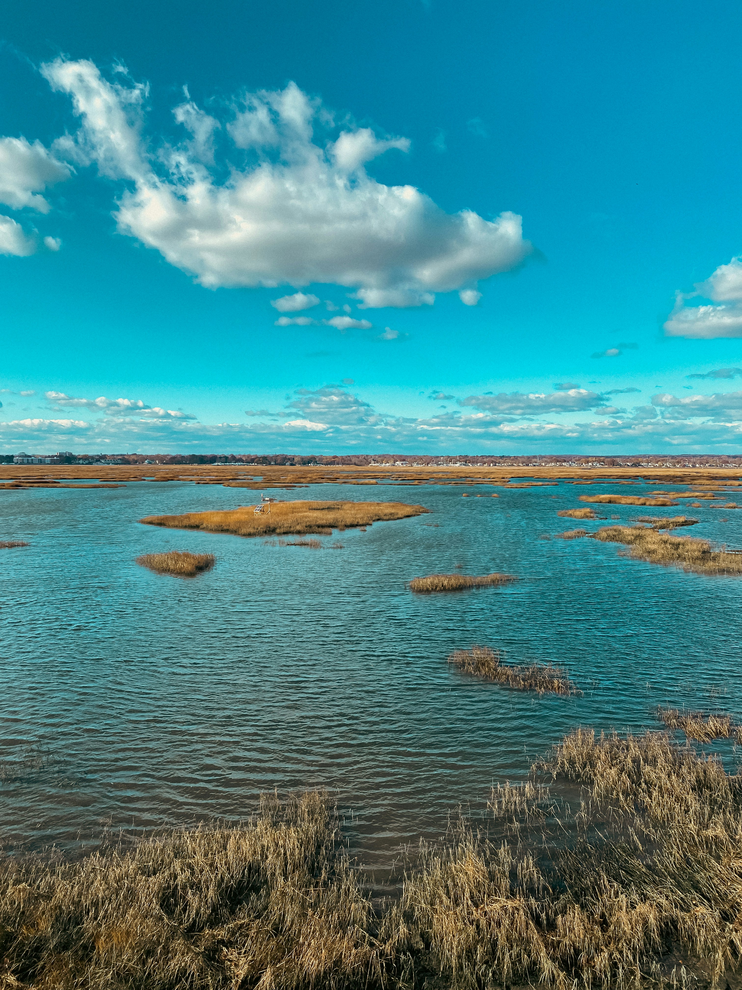 Photo by lycheesplash