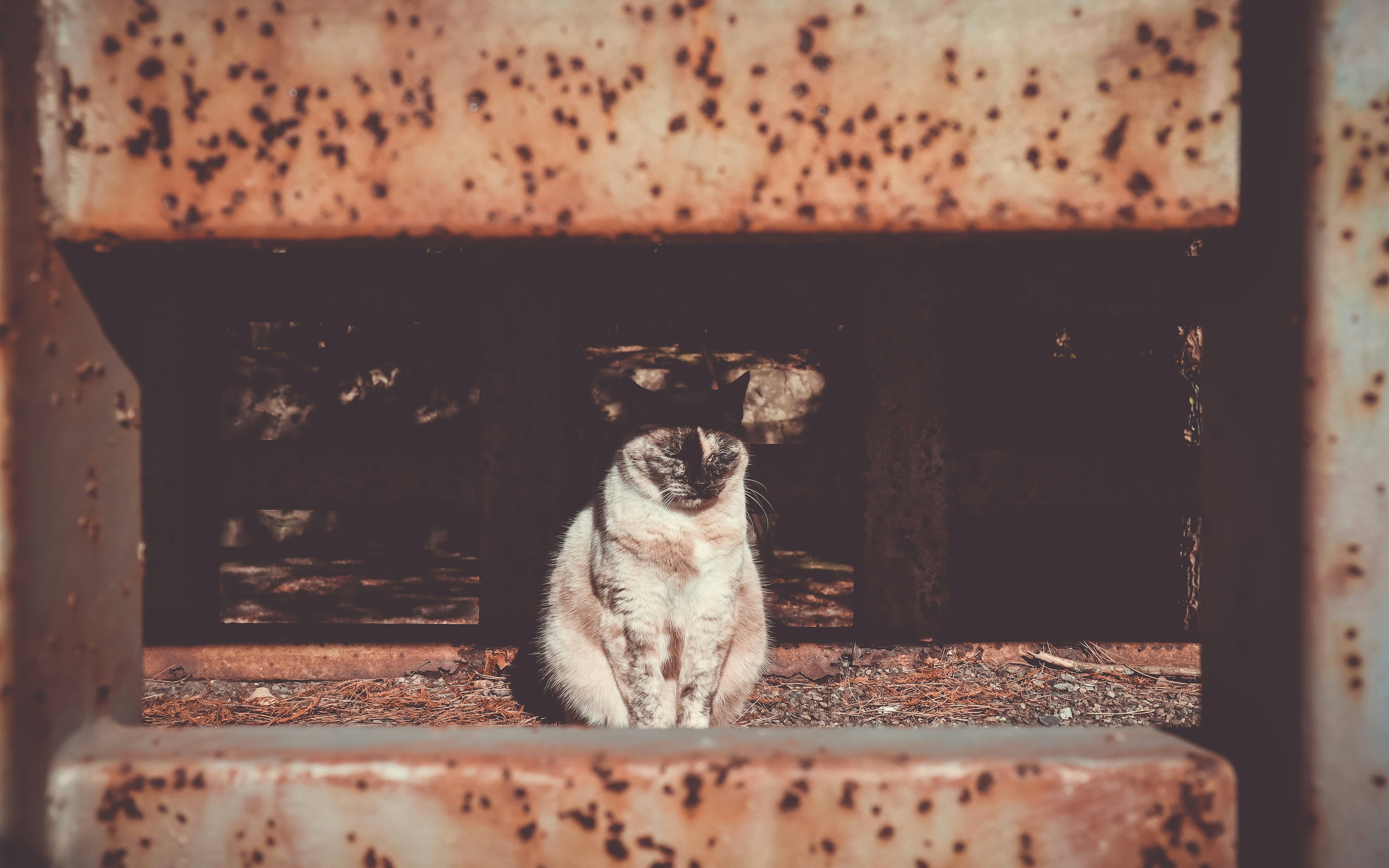 Photo by yuri_medeiros