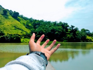 A serene landscape featuring a watch resting on a wooden table.