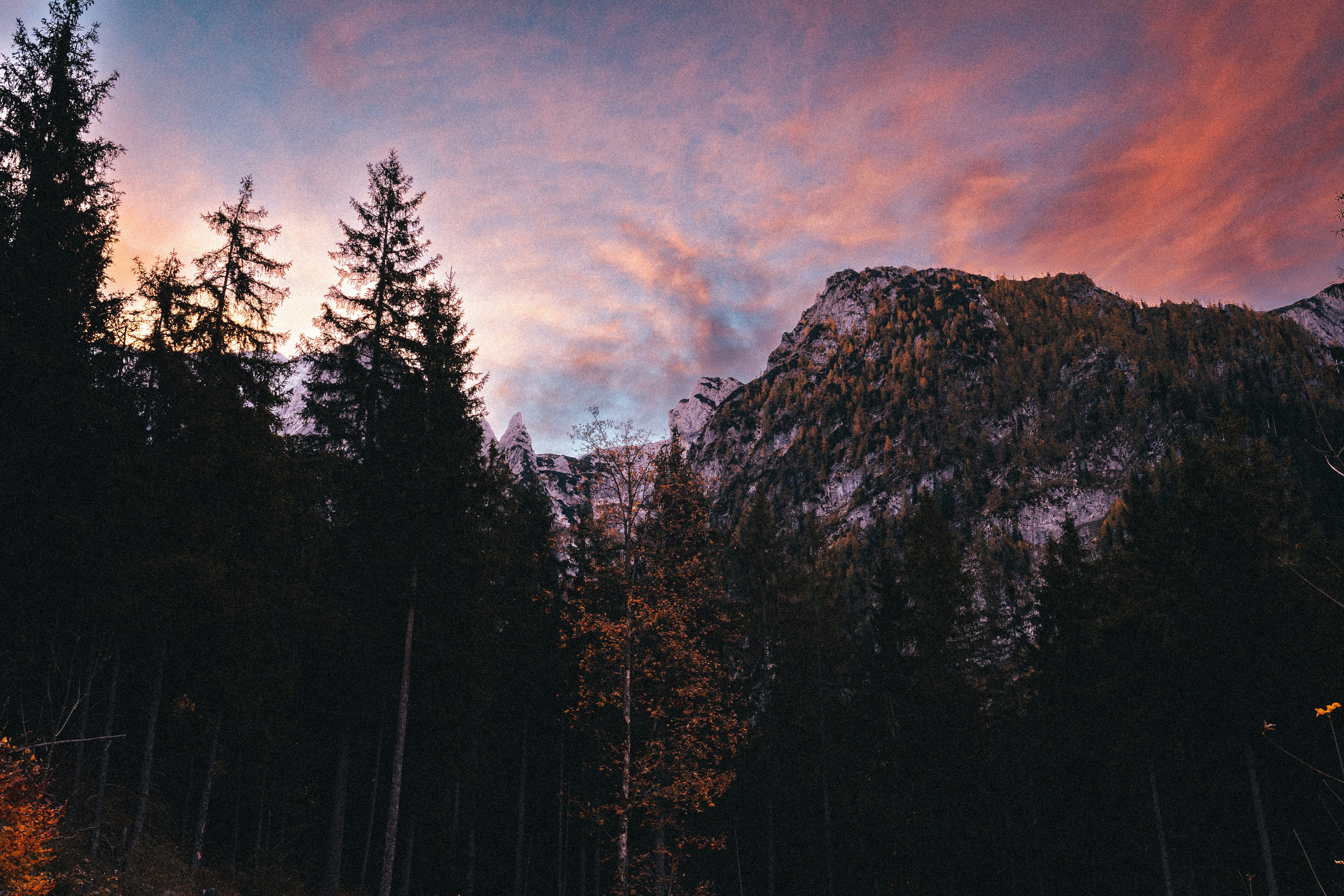 Photo by mauricesahl