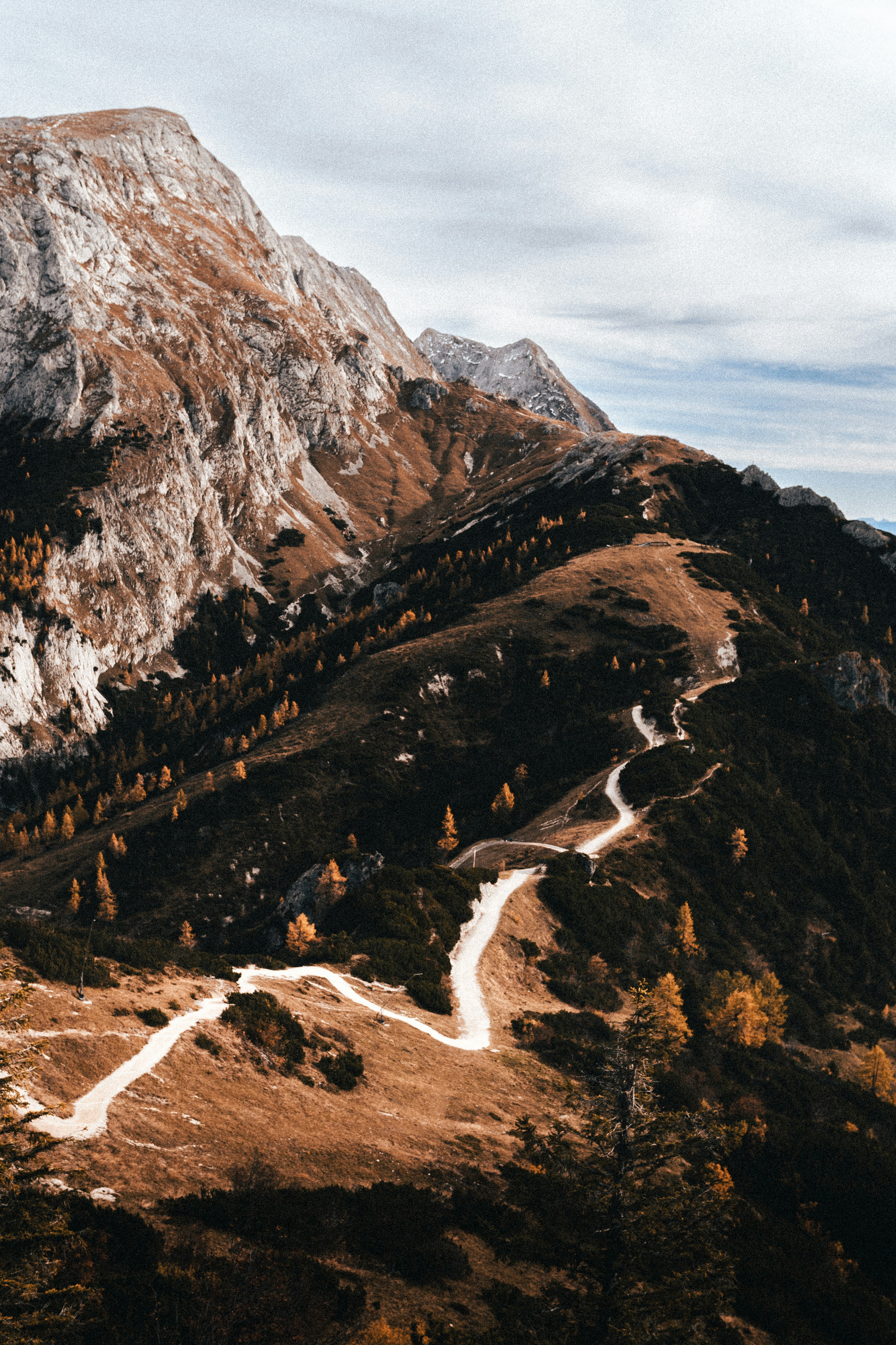 Photo by mauricesahl