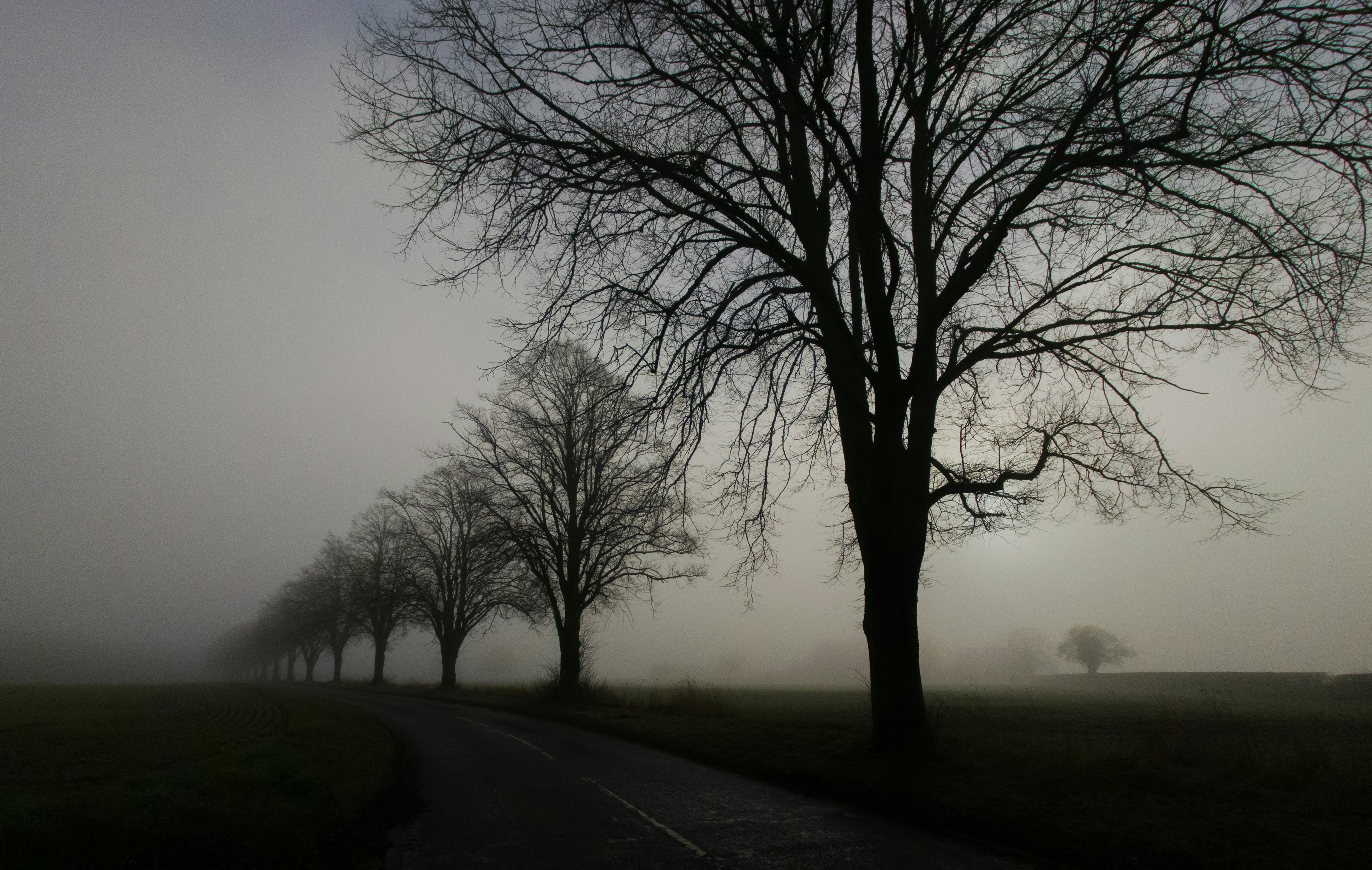 Photo by thesilverperson