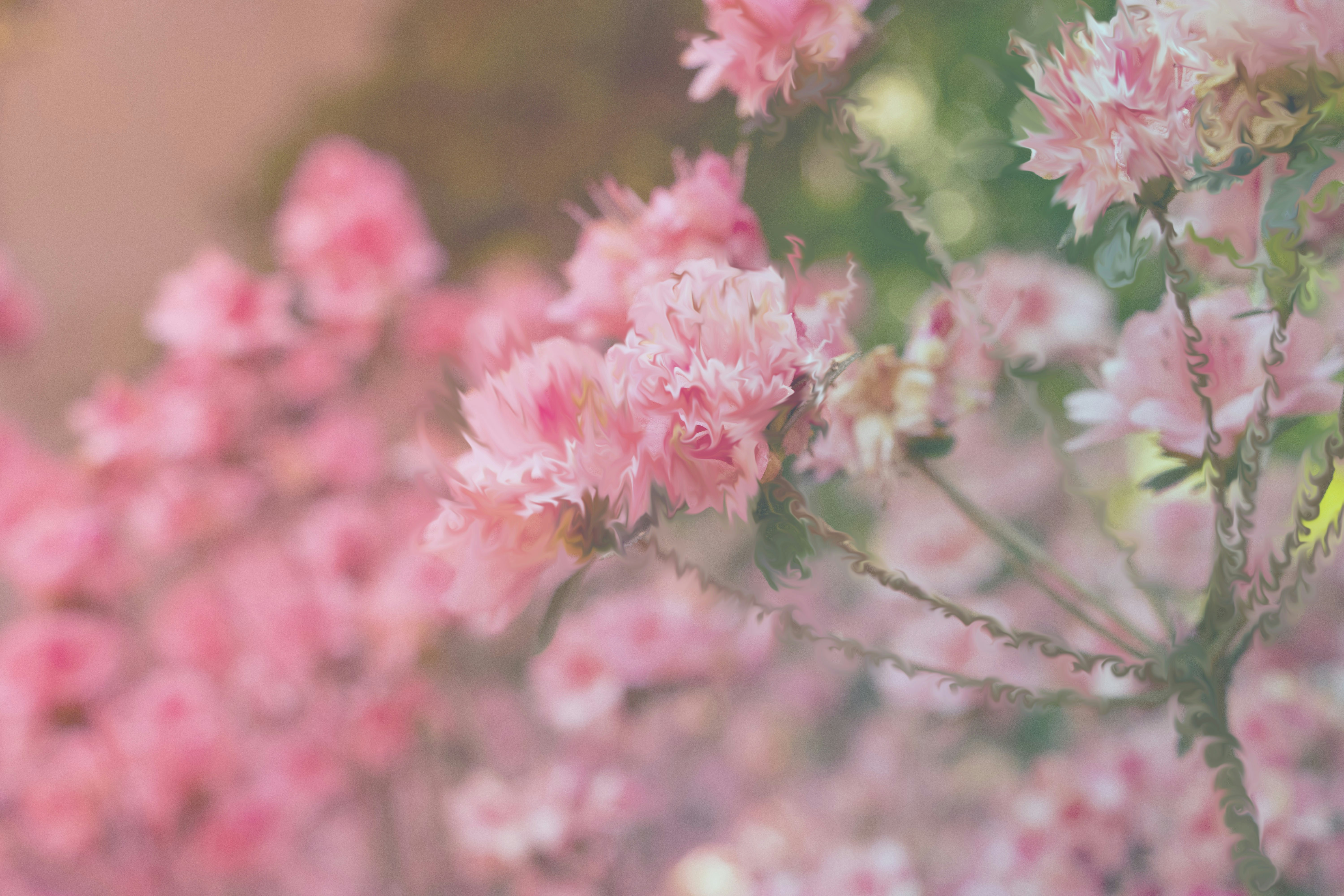 Photo by heffner0618