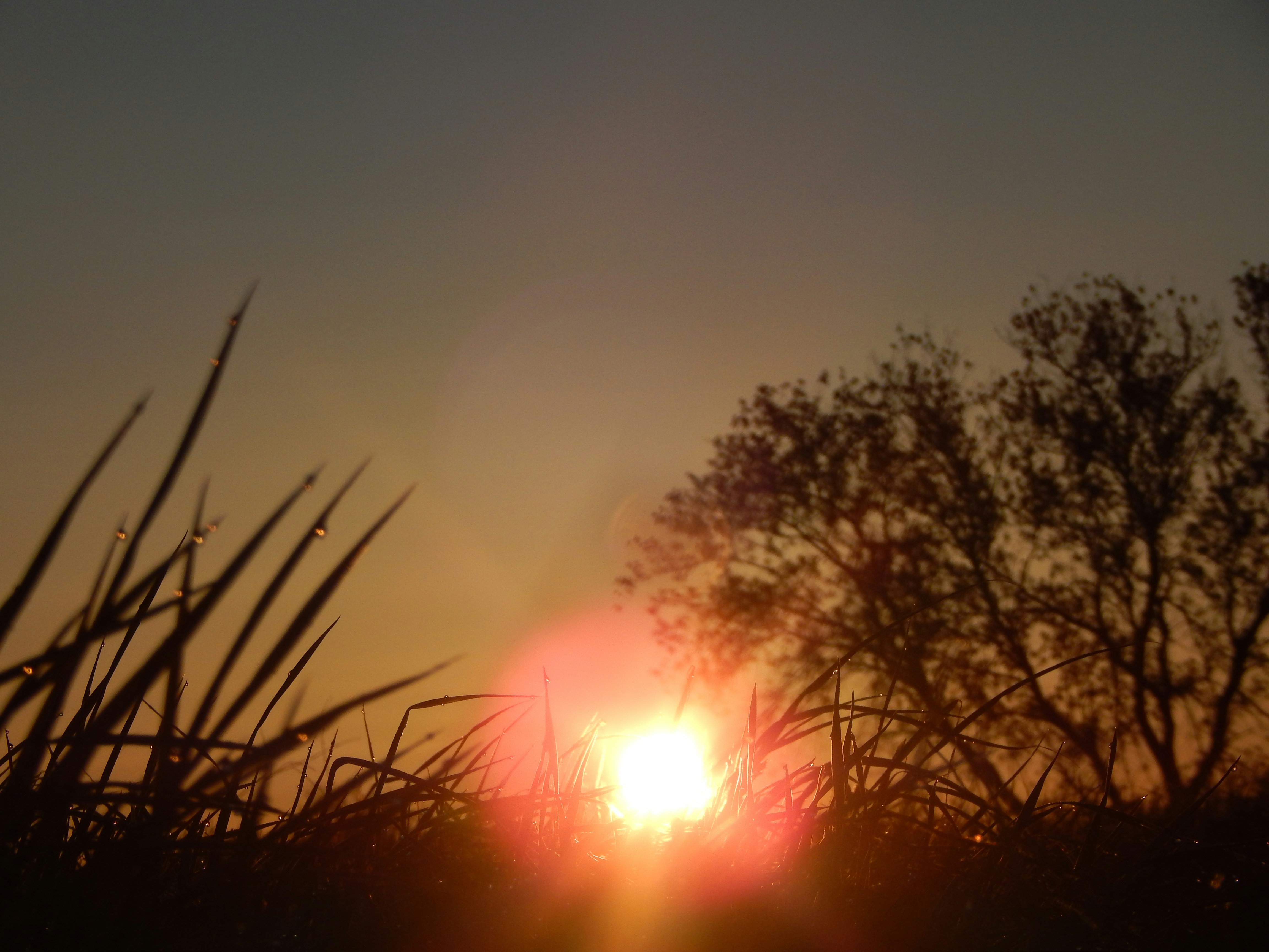 Photo by scarlettweiss