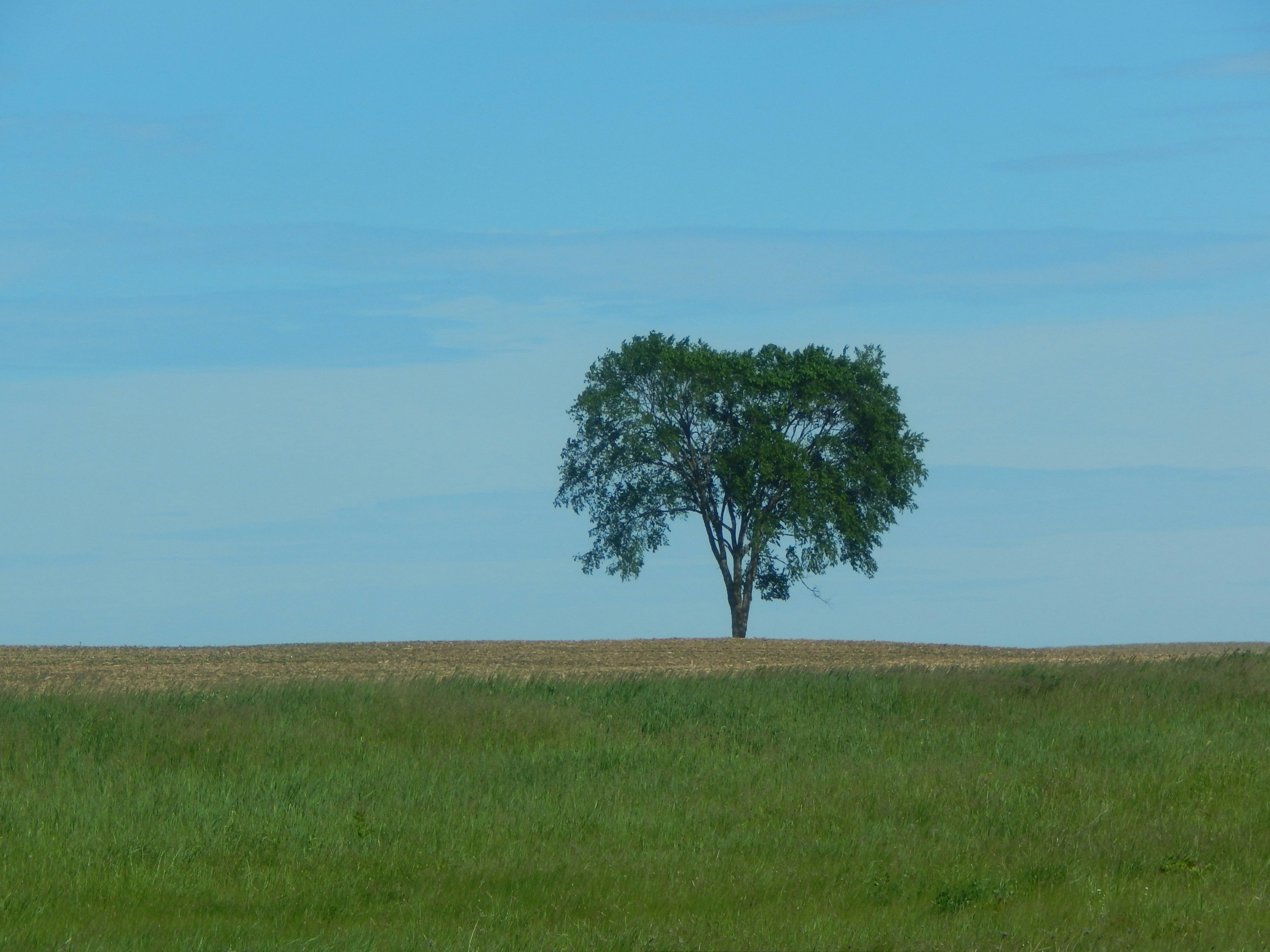 Photo by scarlettweiss