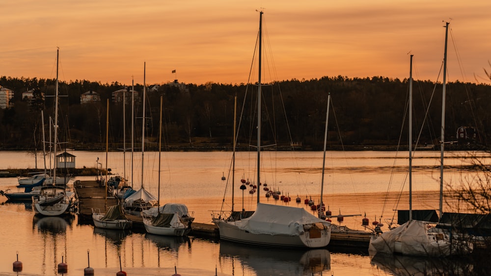a group of sailboats are docked at a dock