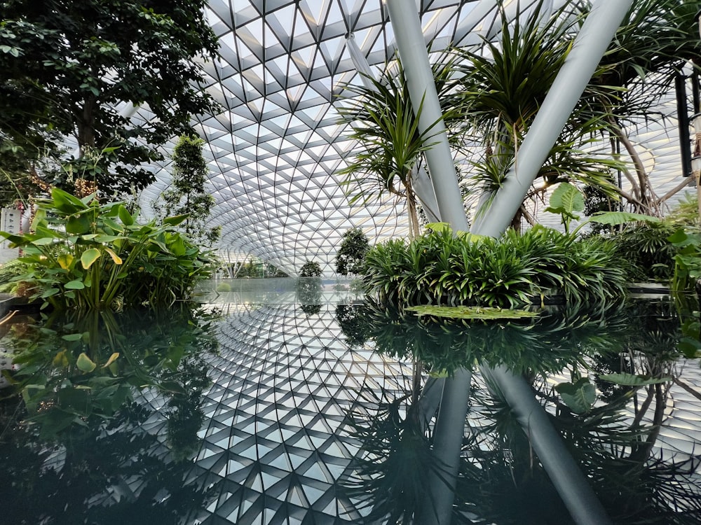 the inside of a building with a pool surrounded by trees