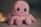 a pink octopus stuffed animal sitting on top of a table