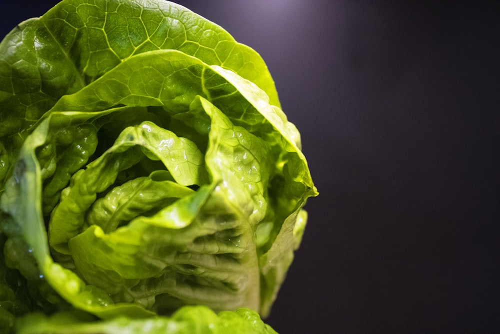 a close up of a lettuce on a black background