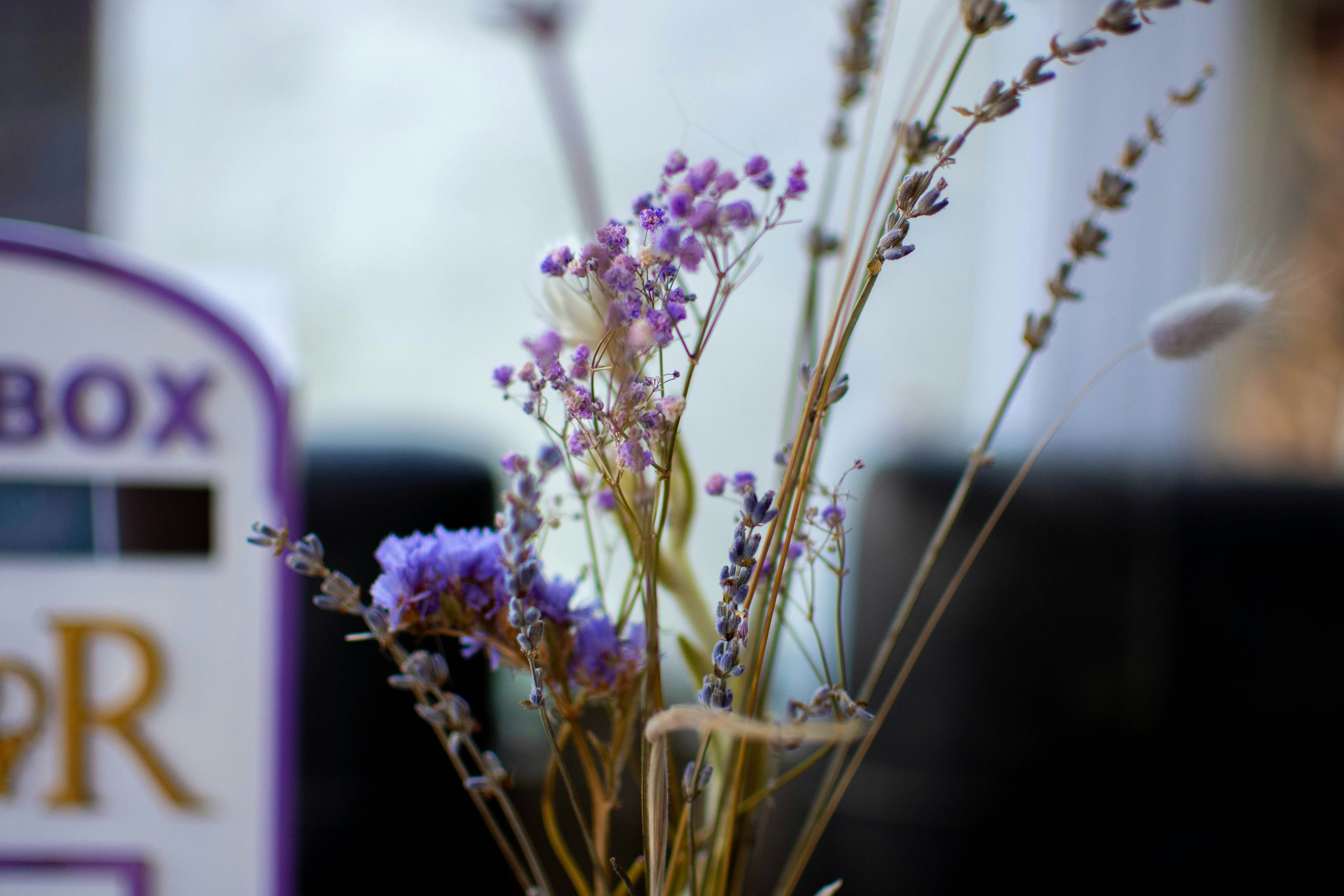 Photo by maplerockdesign