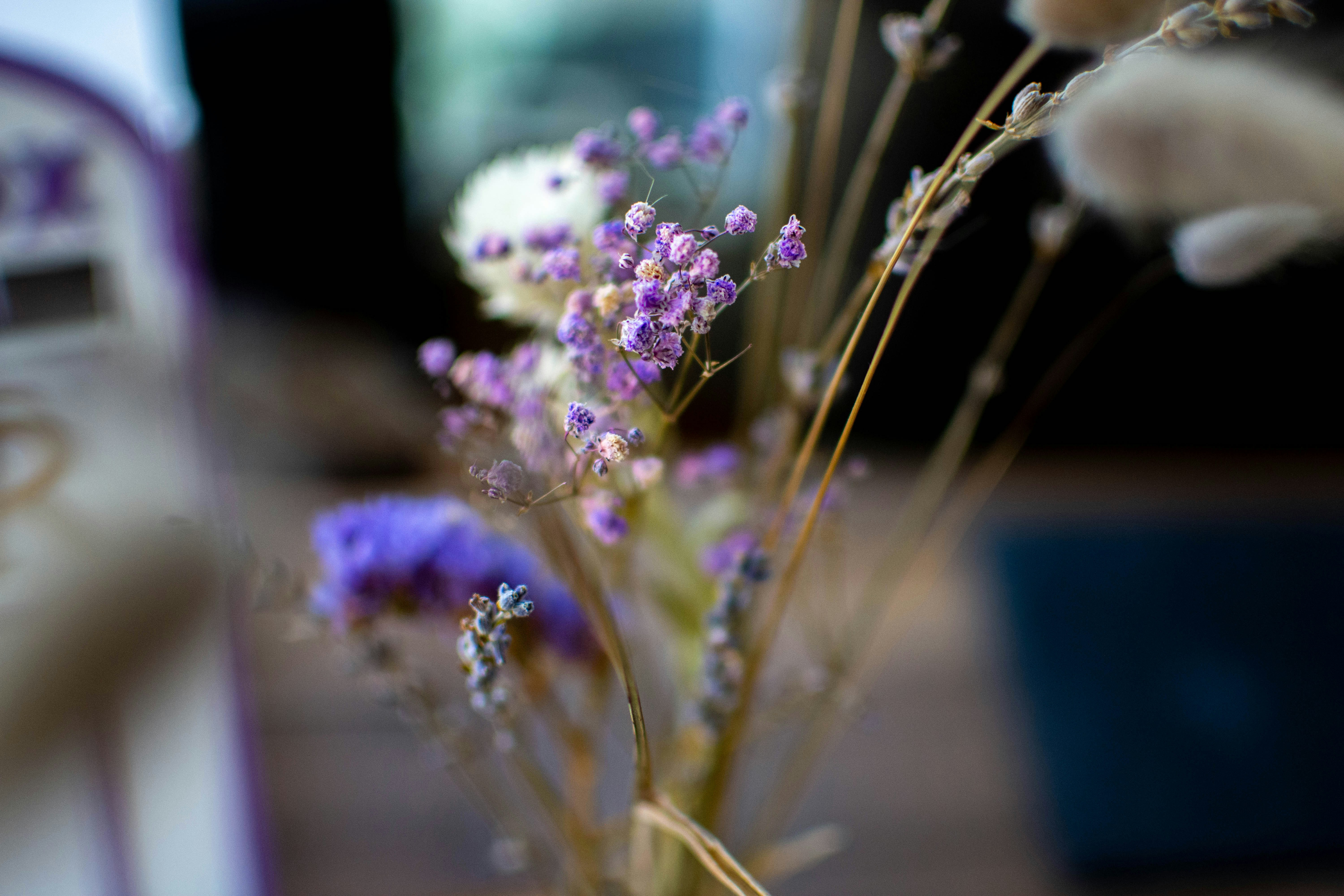 Photo by maplerockdesign