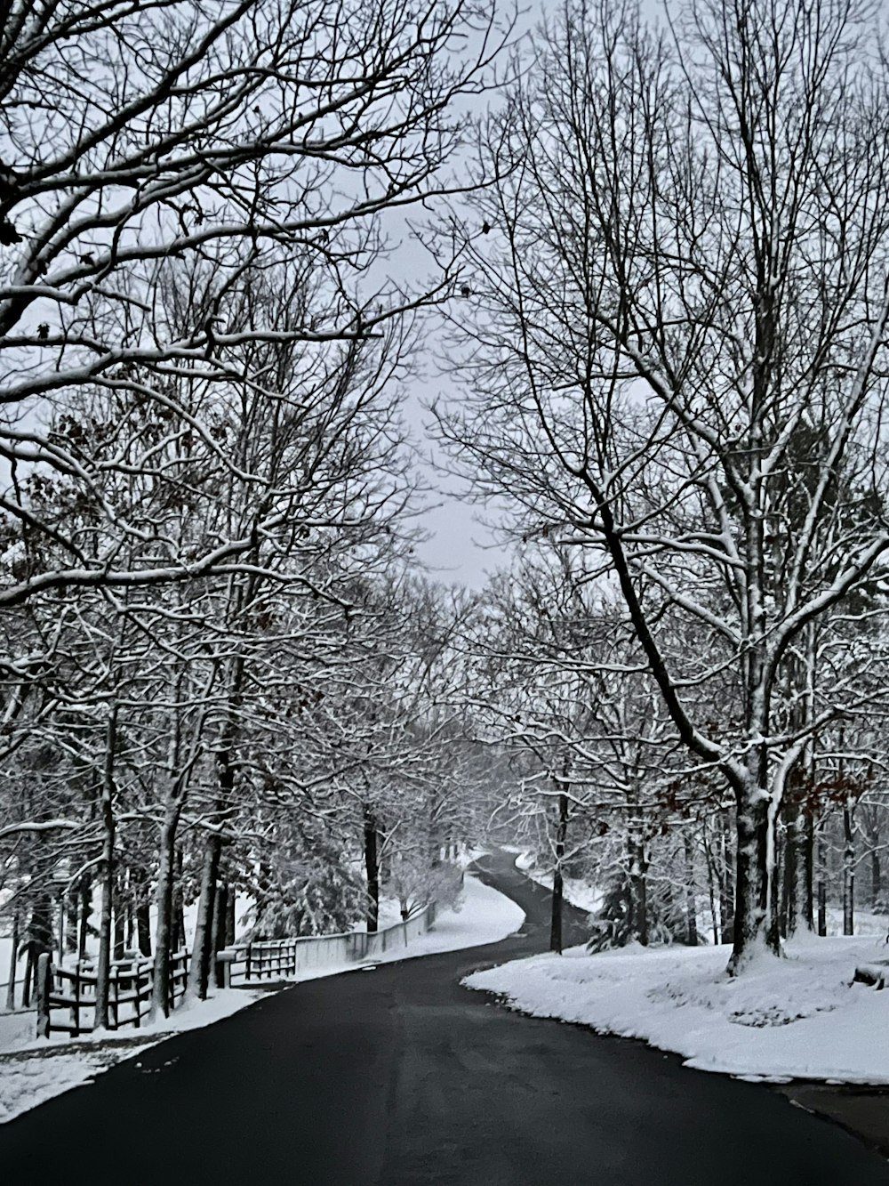 a snowy road with trees and a bridge in the distance
