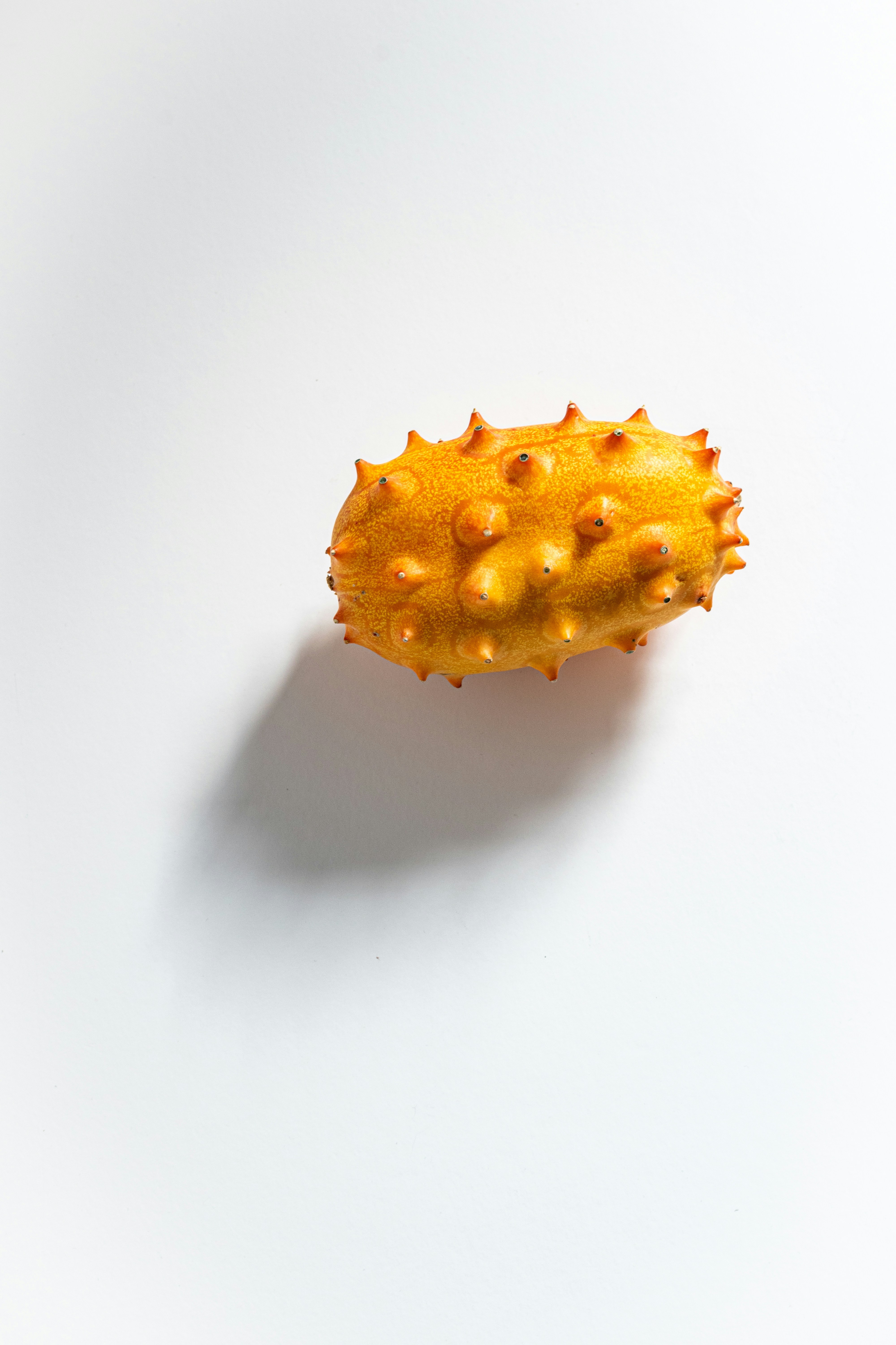 Photo by blackieshoot