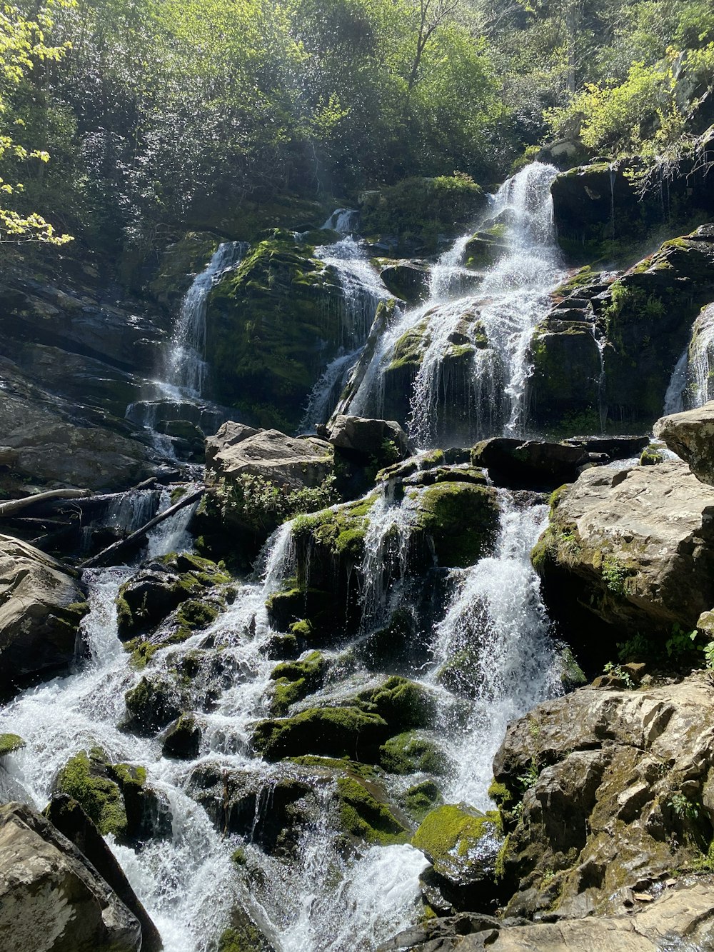 a small waterfall in the middle of a forest