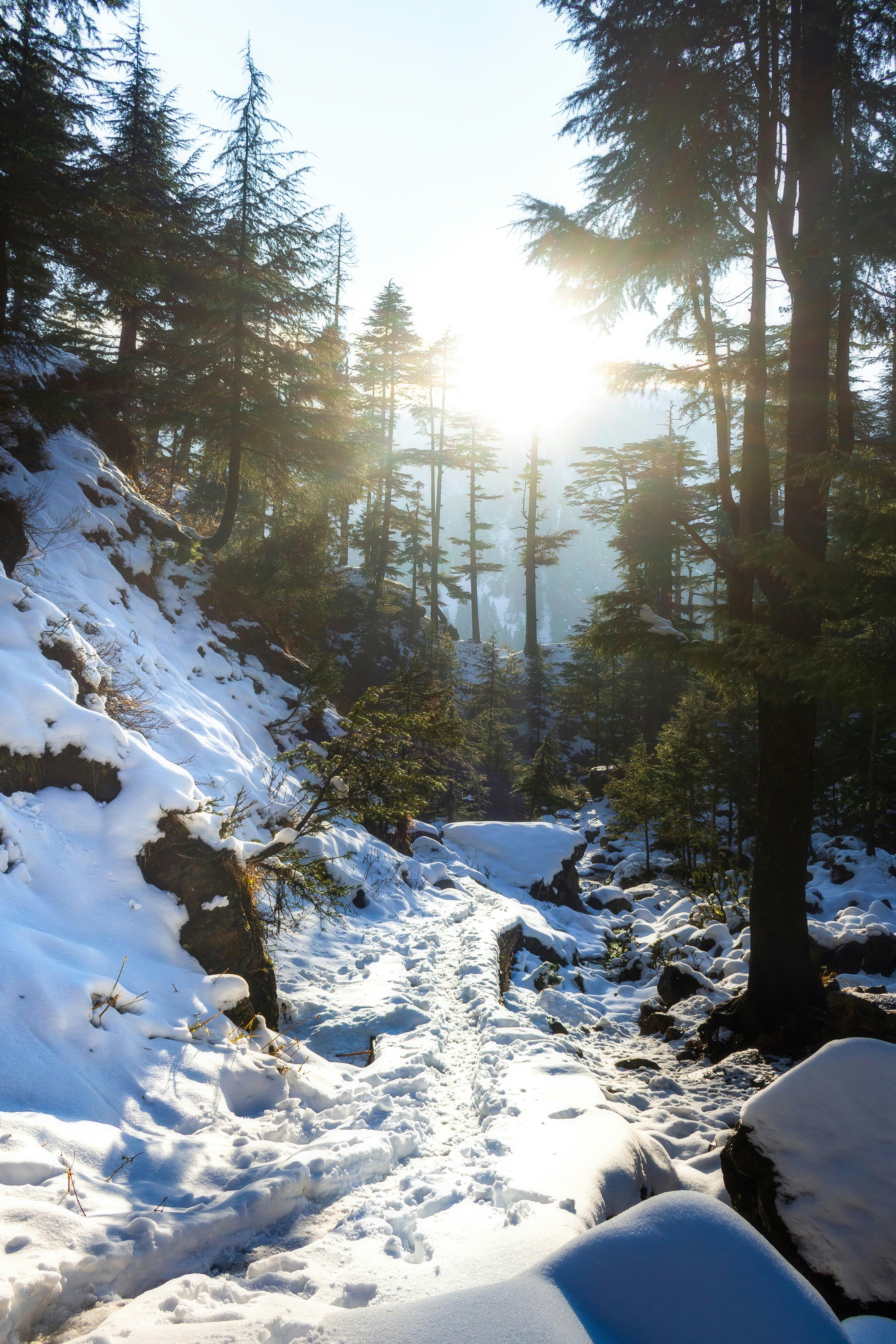 Photo by konark_dubey