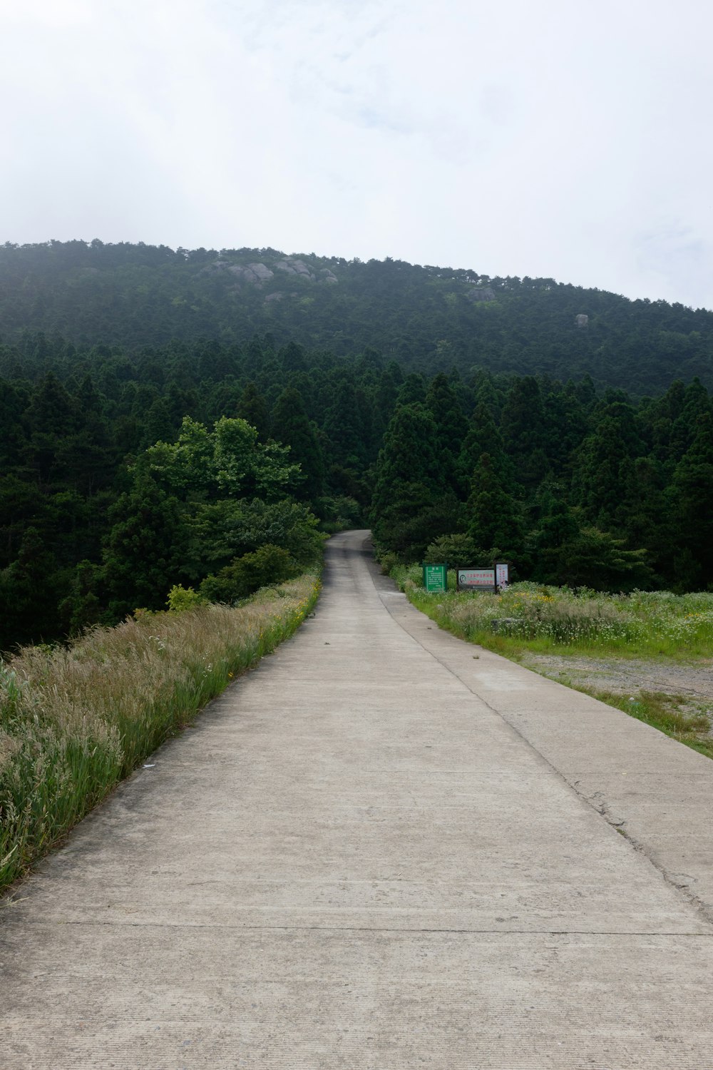 a dirt road with a hill in the background