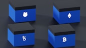 Four blue boxes are arranged in a 2x2 grid on a dark surface. Each box features a distinct cryptocurrency symbol in white: a dog face, Ethereum logo, Tezos logo, and Bitcoin logo.