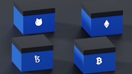 Four blue boxes are arranged in a 2x2 grid on a dark surface. Each box features a distinct cryptocurrency symbol in white: a dog face, Ethereum logo, Tezos logo, and Bitcoin logo.