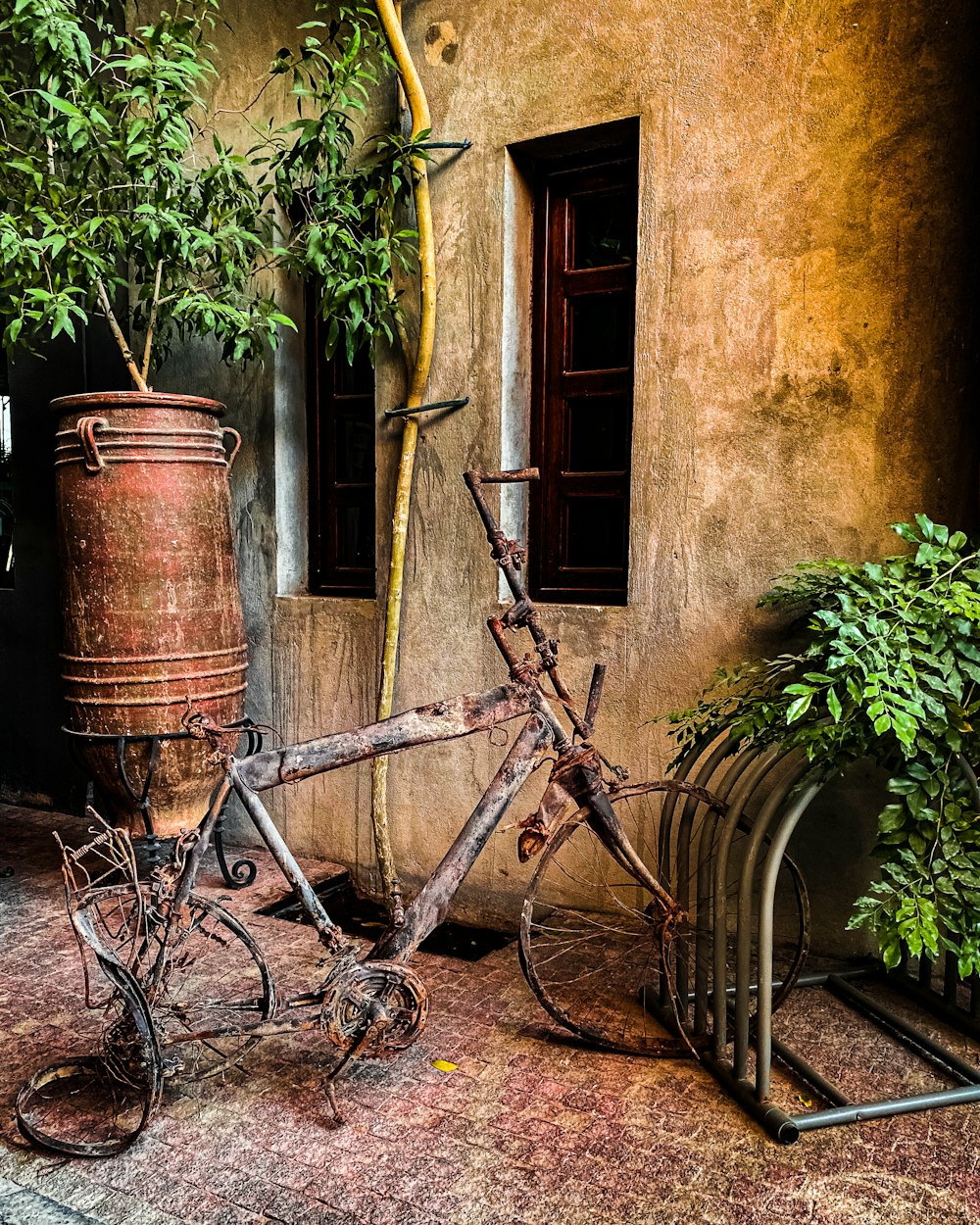 a rusty bicycle parked next to a potted plant