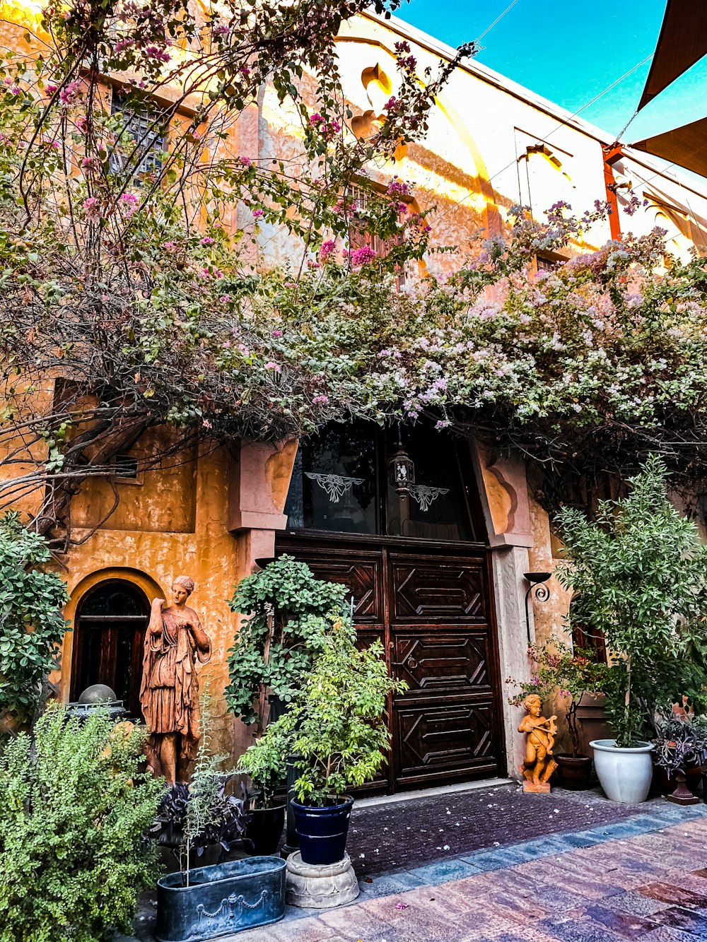 a building with a bunch of plants growing out of it