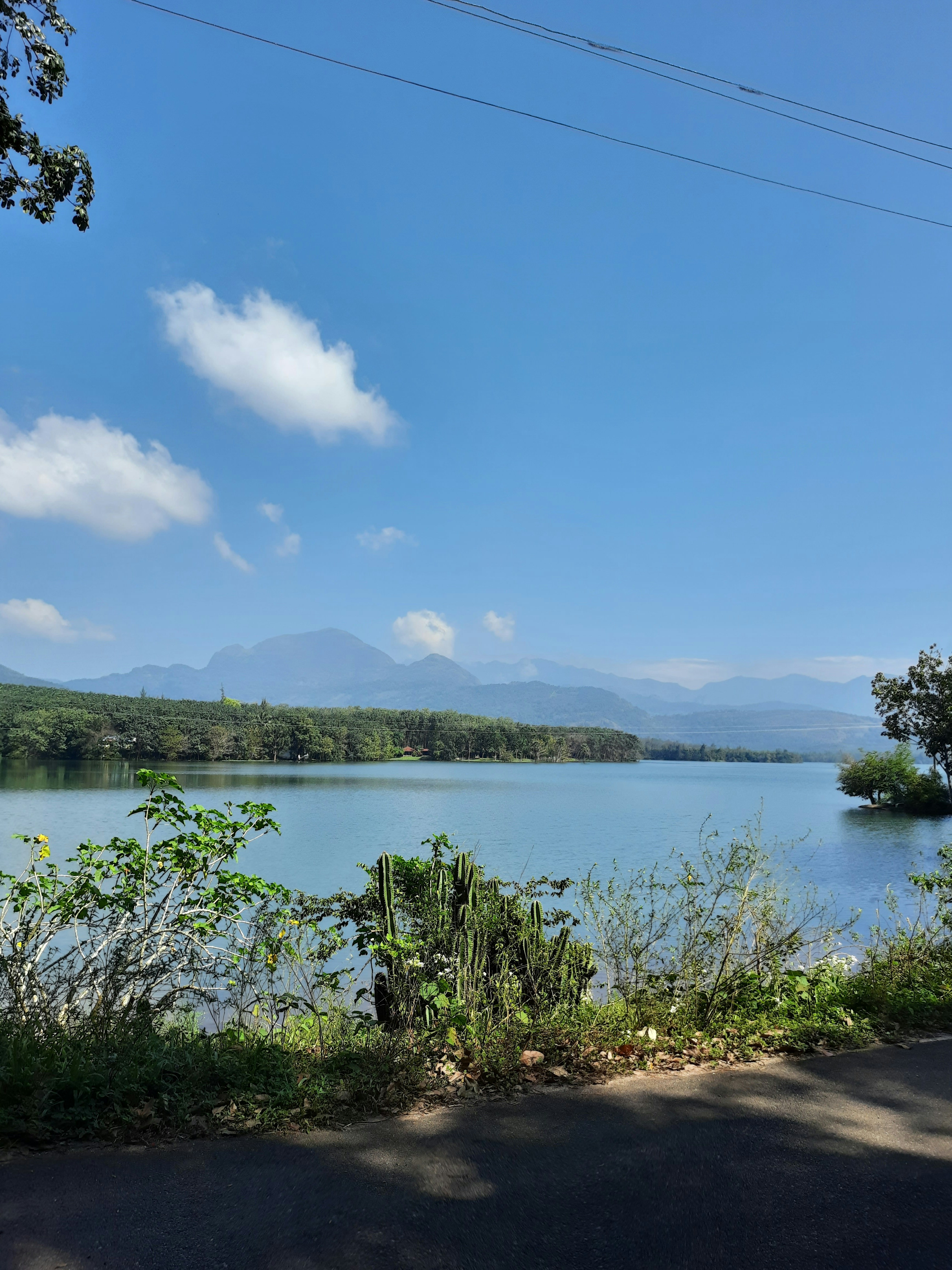 a large body of water sitting next to a lush green forest