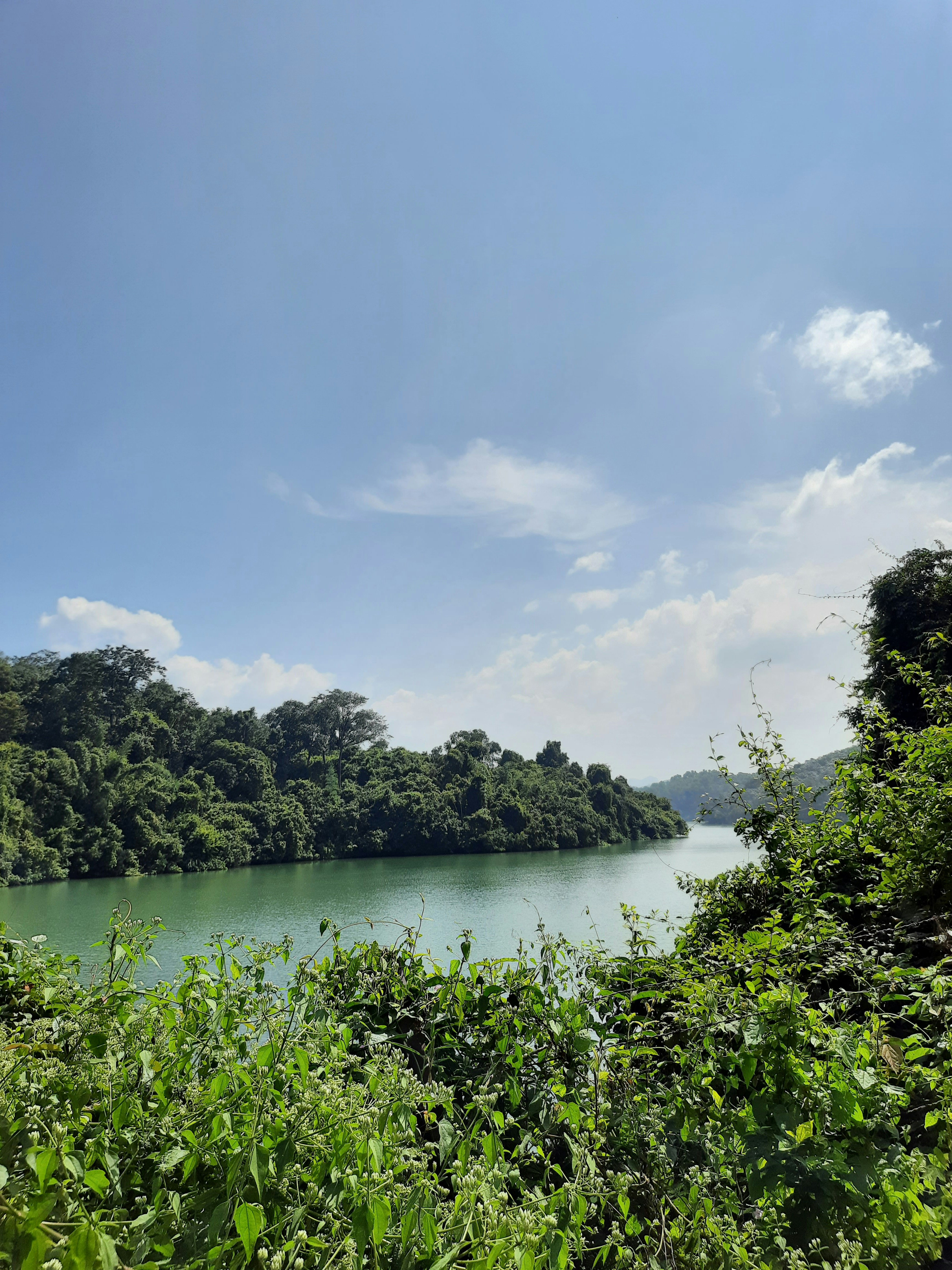 Photo by dreamyrobin