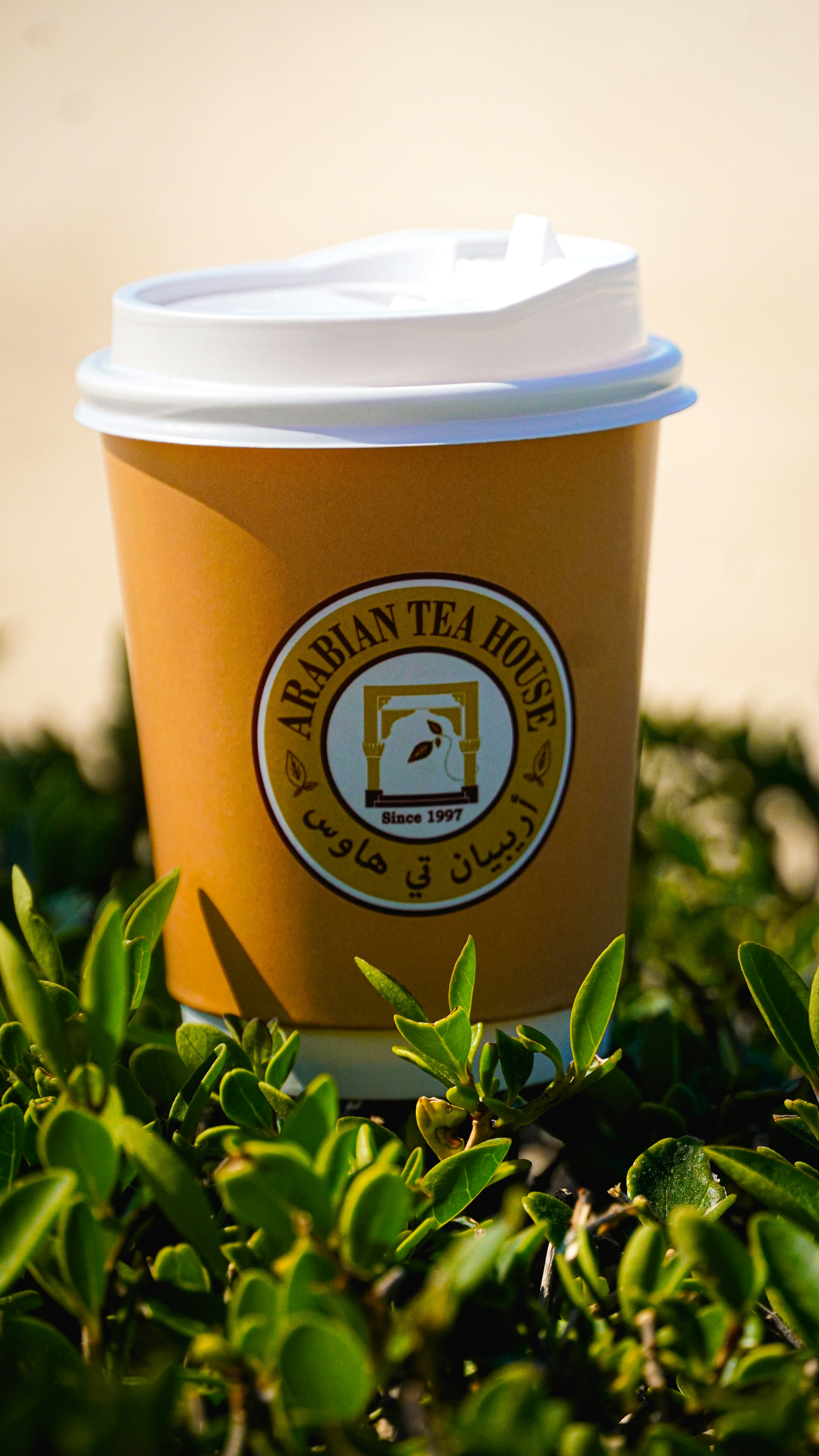 a cup of coffee sitting on top of a lush green field