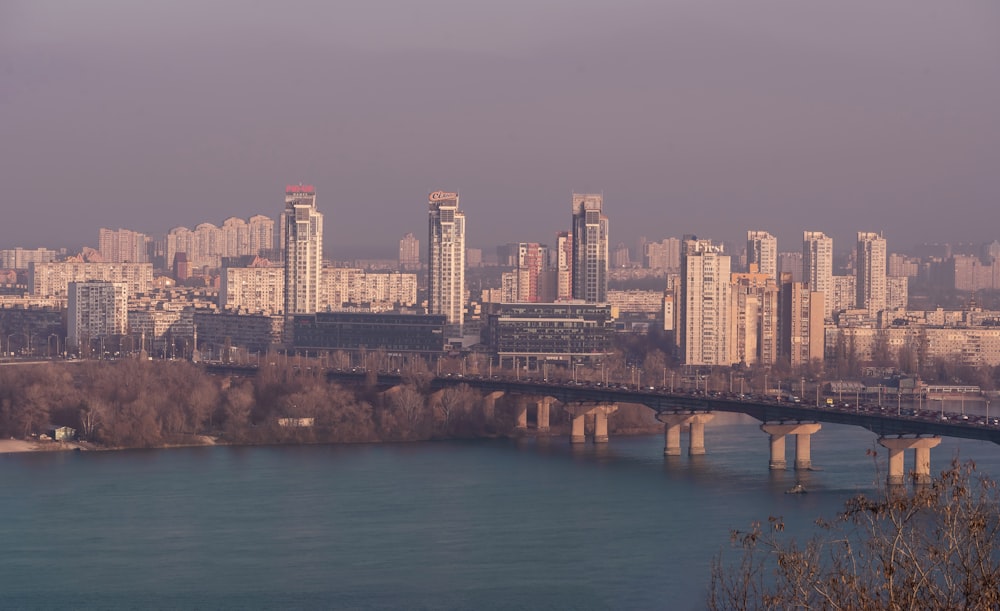 도시를 배경으로 한 수역 위의 다리