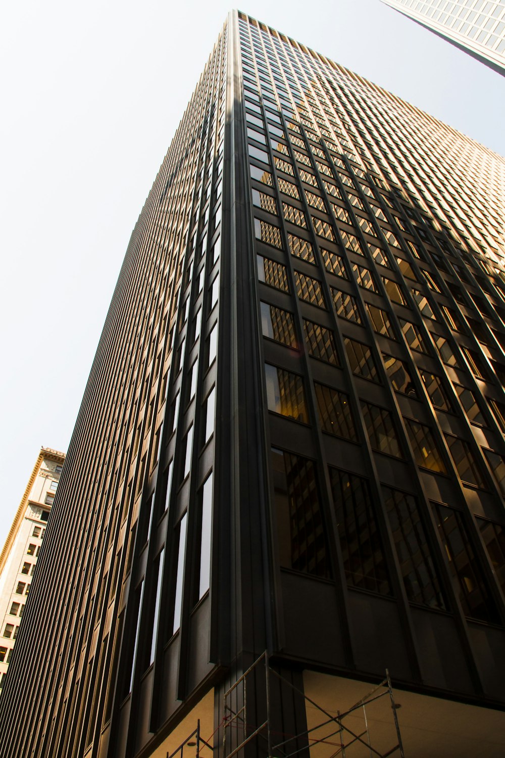 looking up at a tall building in the city