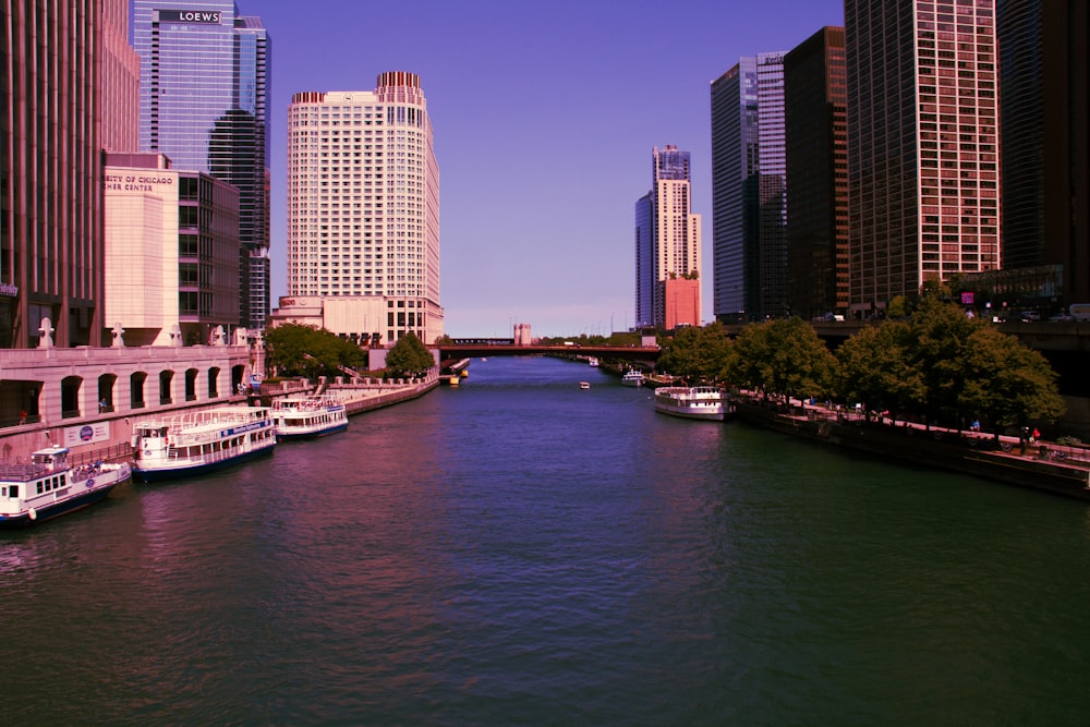 a body of water surrounded by tall buildings