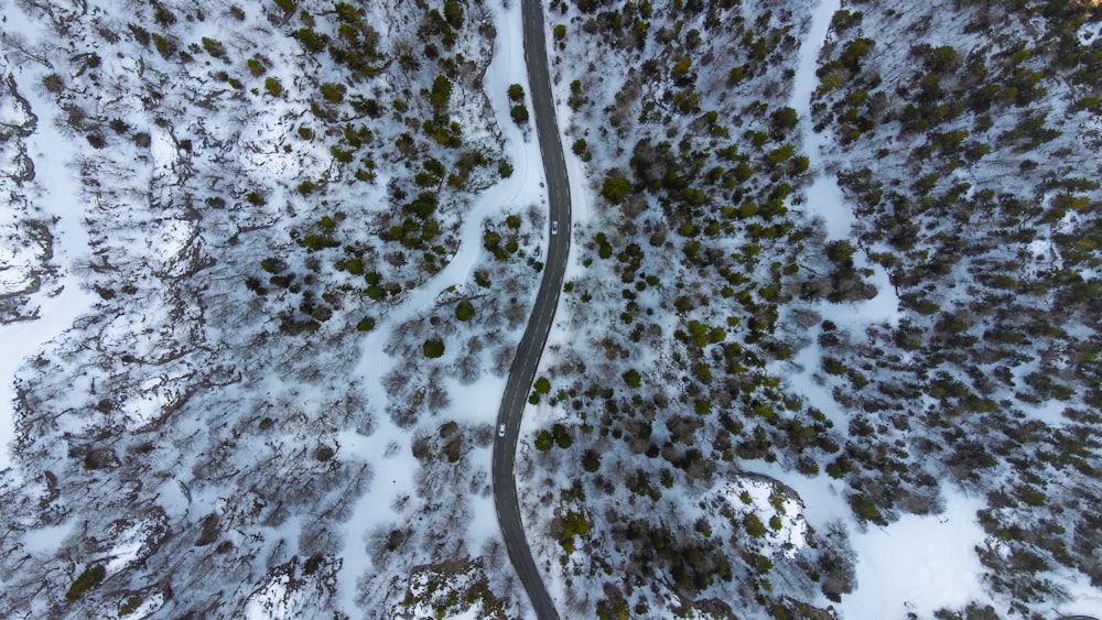 an aerial view of a snow covered forest