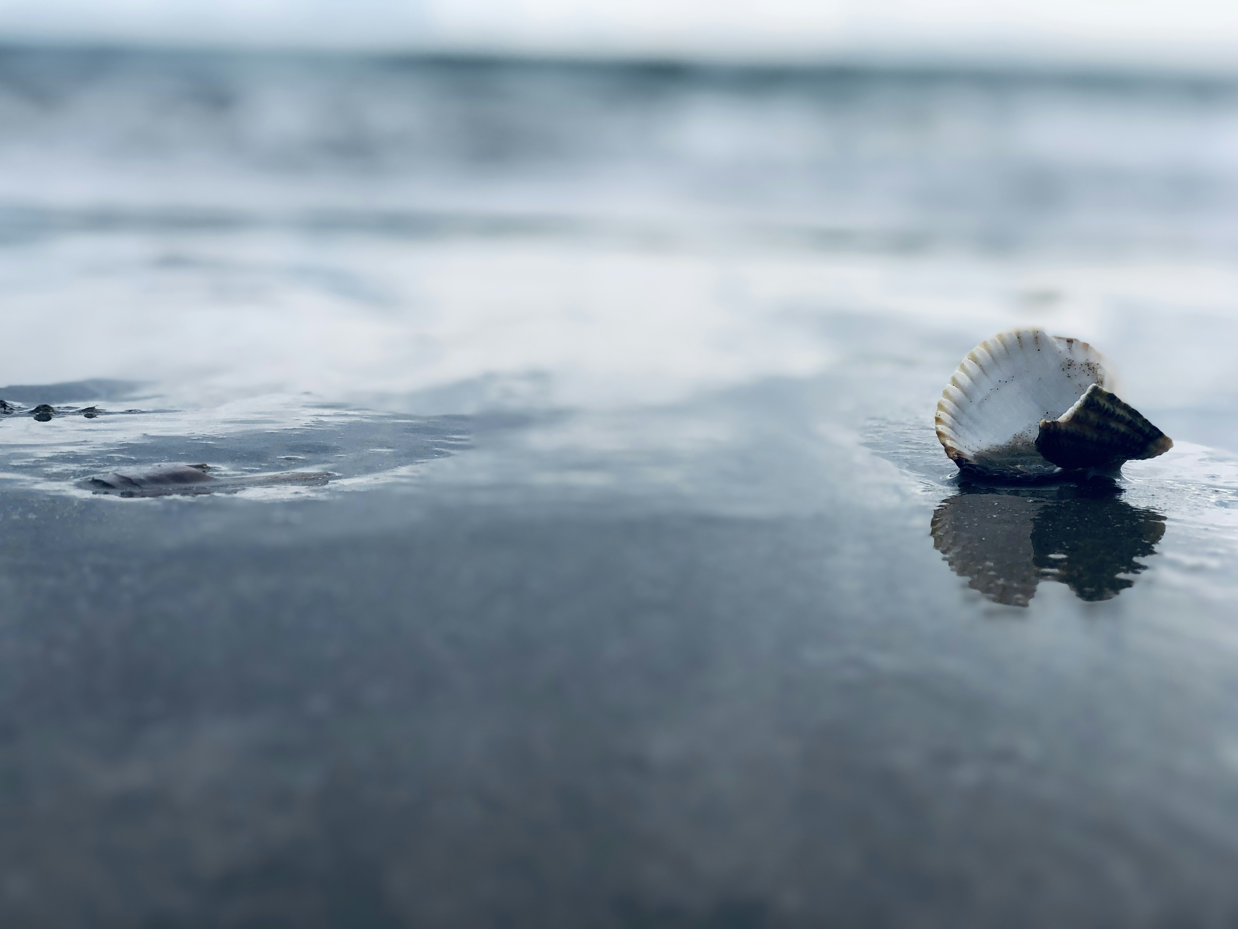 Photo by smilla_pajor