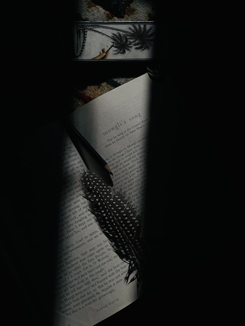 A dimly lit scene featuring an open book with the text 'Mowgli's Song' visible. Resting on the pages is a feather quill with a pattern of white spots. Shadows partly obscure the book, adding a dramatic effect. Above the book is a small section of a decorative item with a palm leaf illustration.