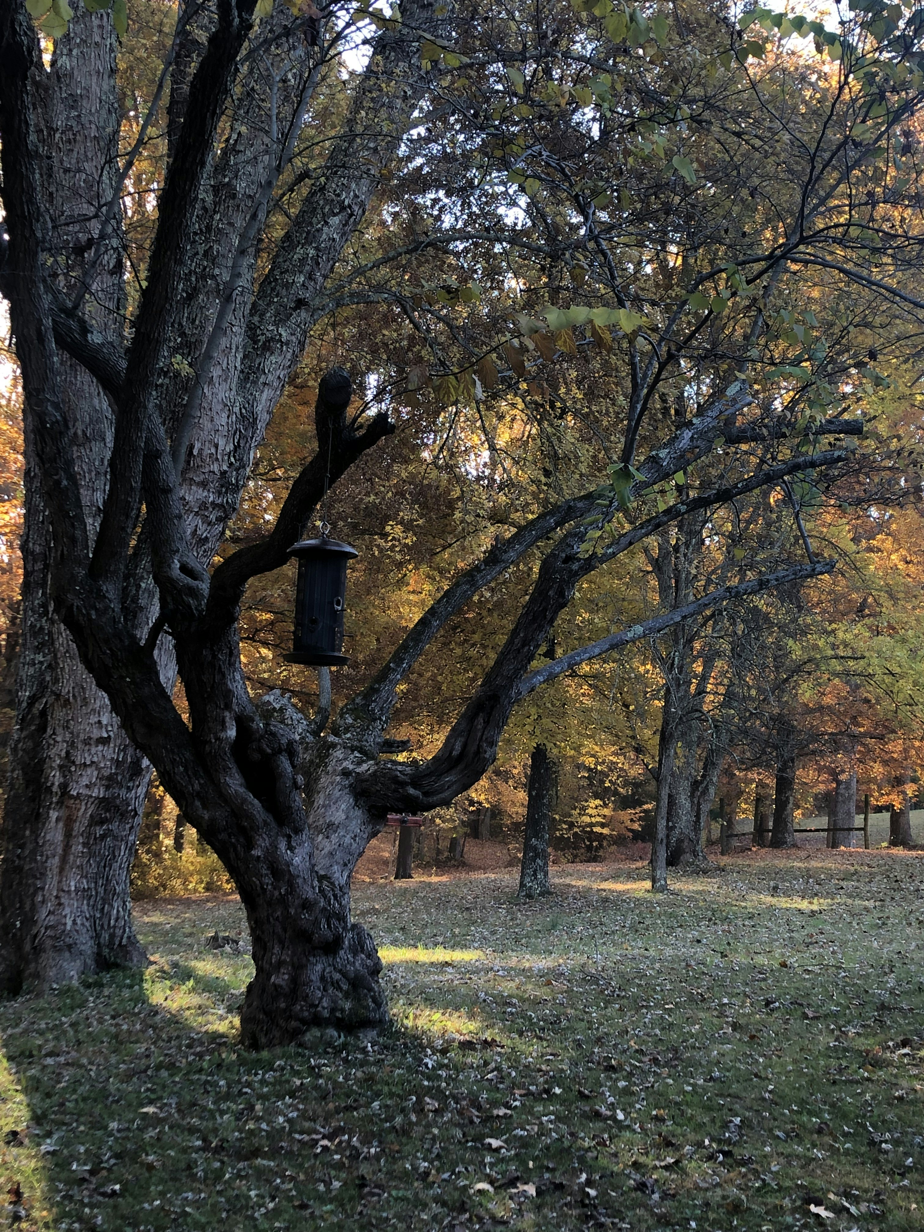 Photo by pattybilyeu