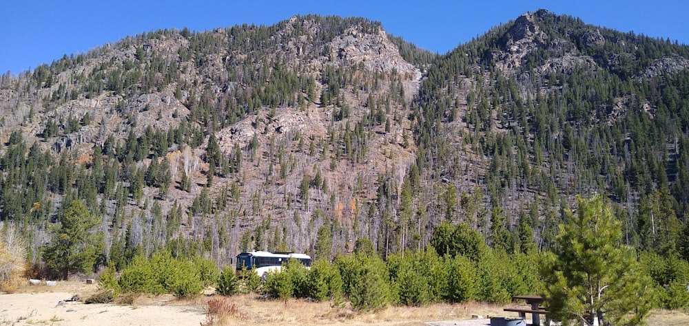 a cabin in the middle of a forest with a mountain in the background