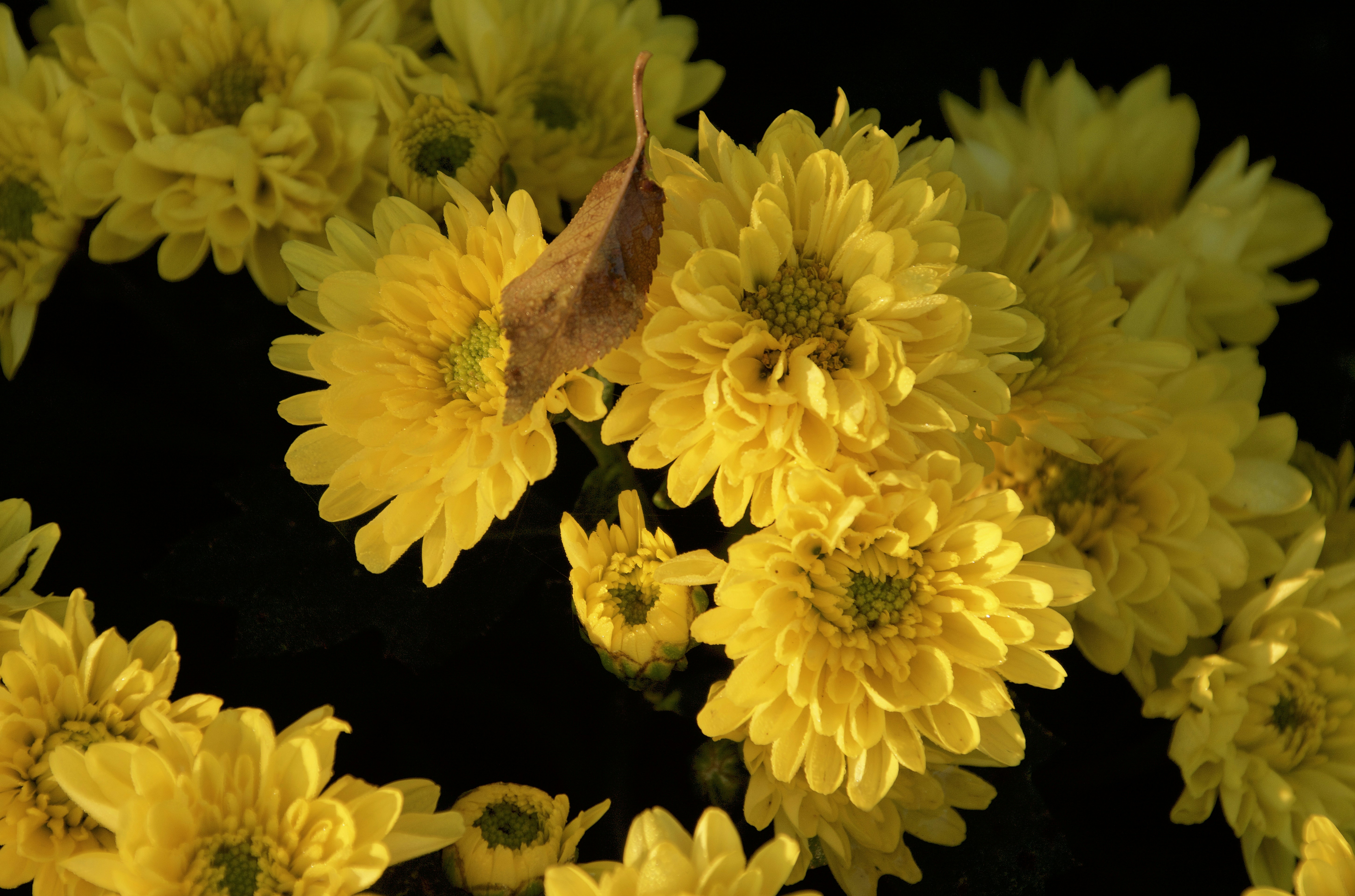 Photo by mariobeducci