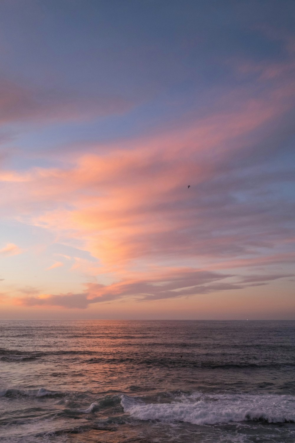 a beautiful sunset over the ocean with a bird flying in the sky