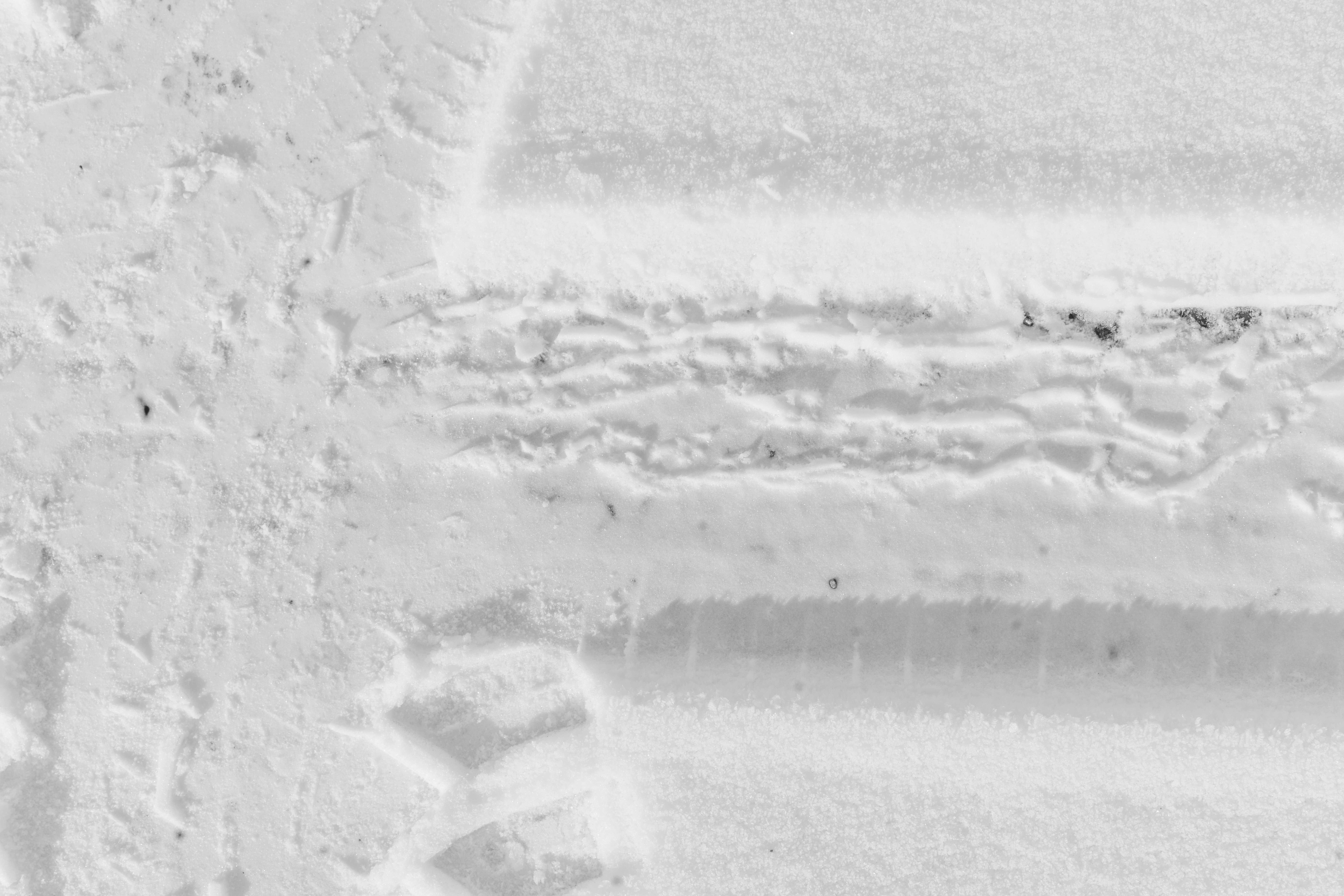 Photo by mihaiteslariu0