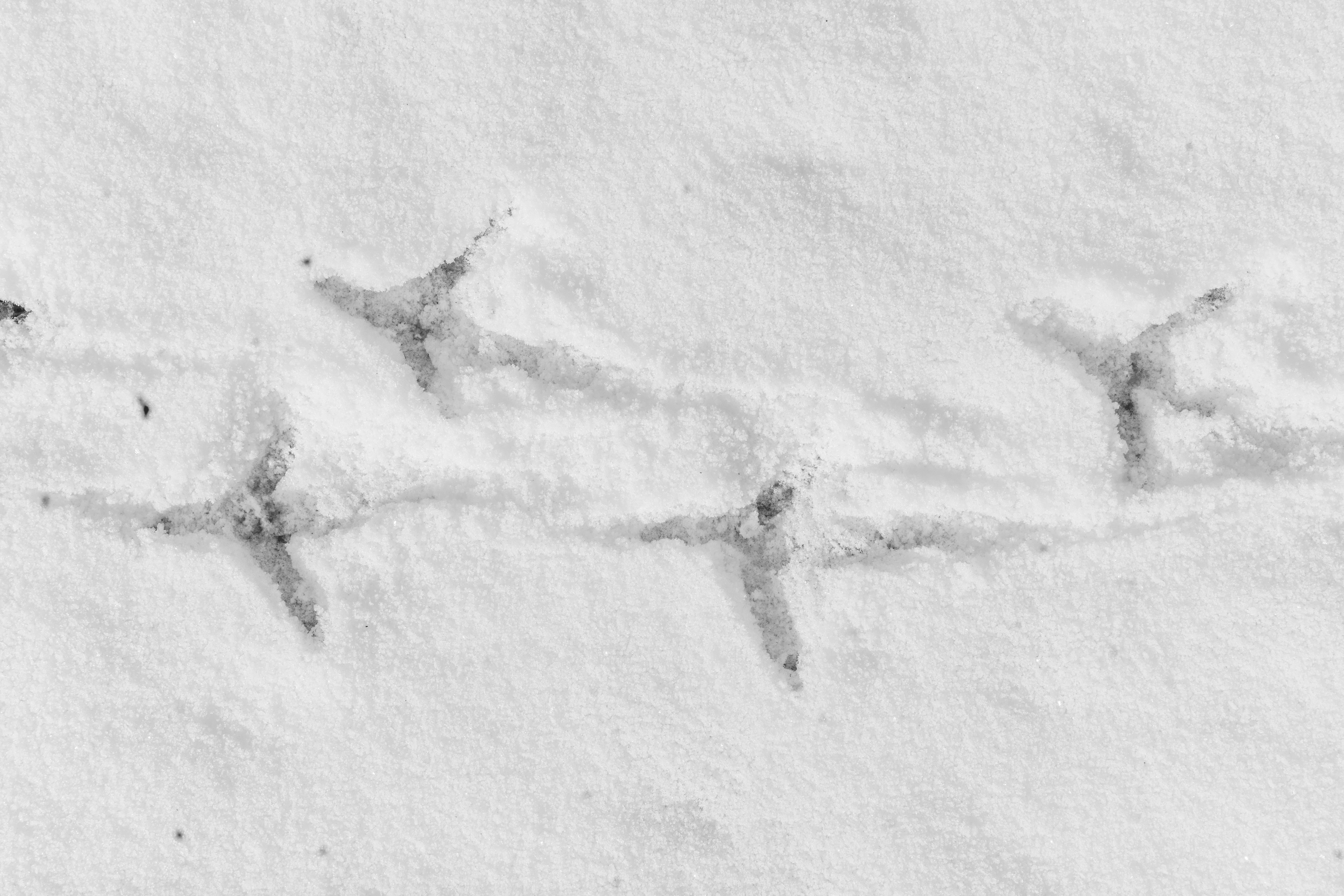 Unsplash 추천 이미지 (키워드 : CMRR, Acm, Adm, vcm, vdm, va, vb, differential amplifier, conversion, formula )