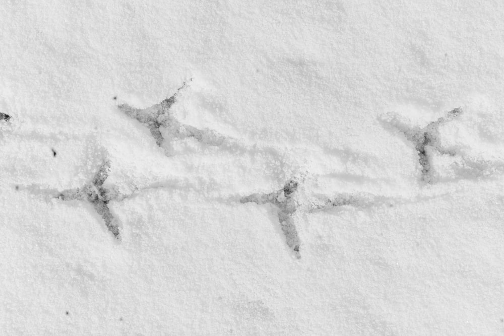 Le mot neige écrit dans la neige