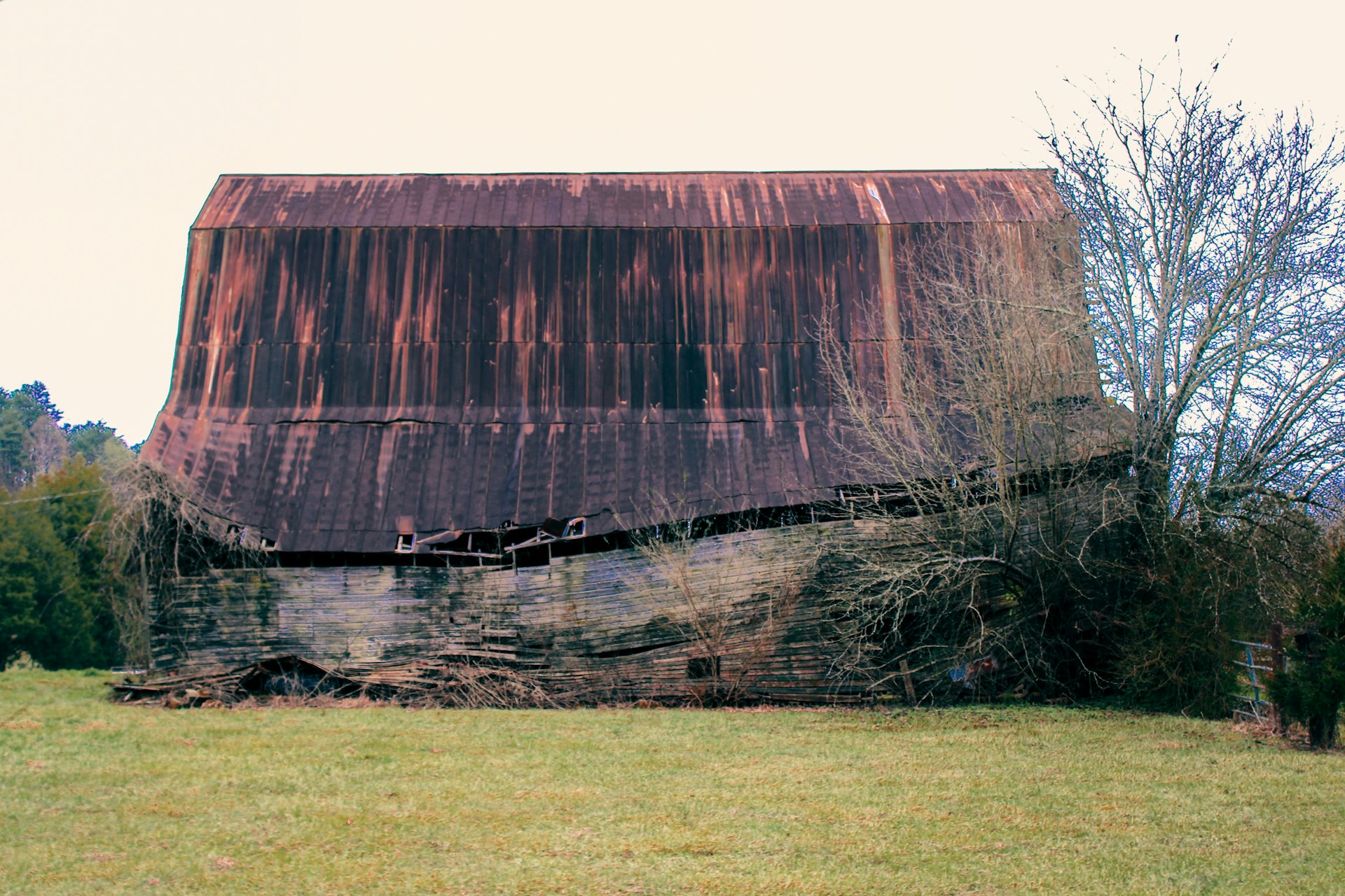 Midwest Americana
